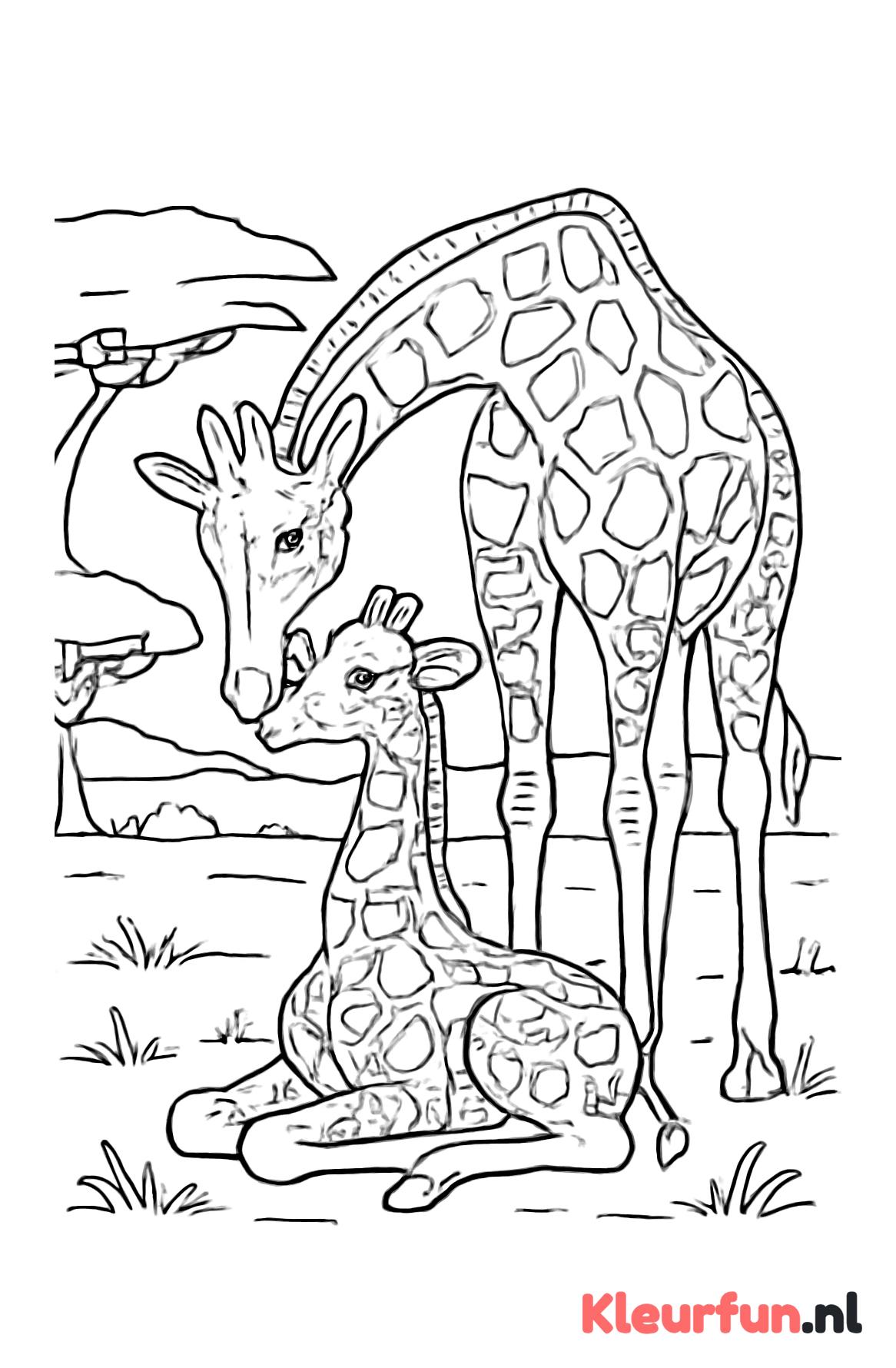 Giraffe moeder met kalf