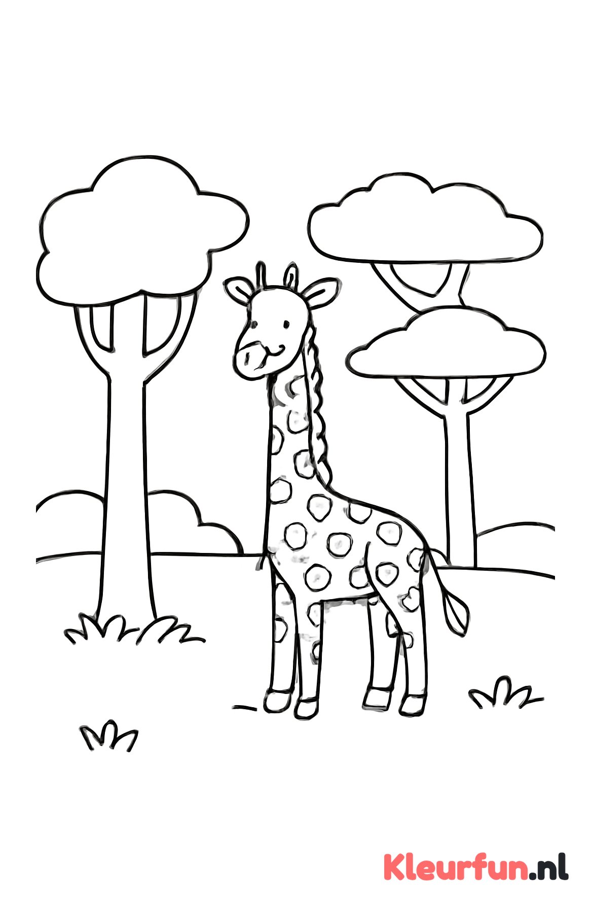 Giraffe in de savanne