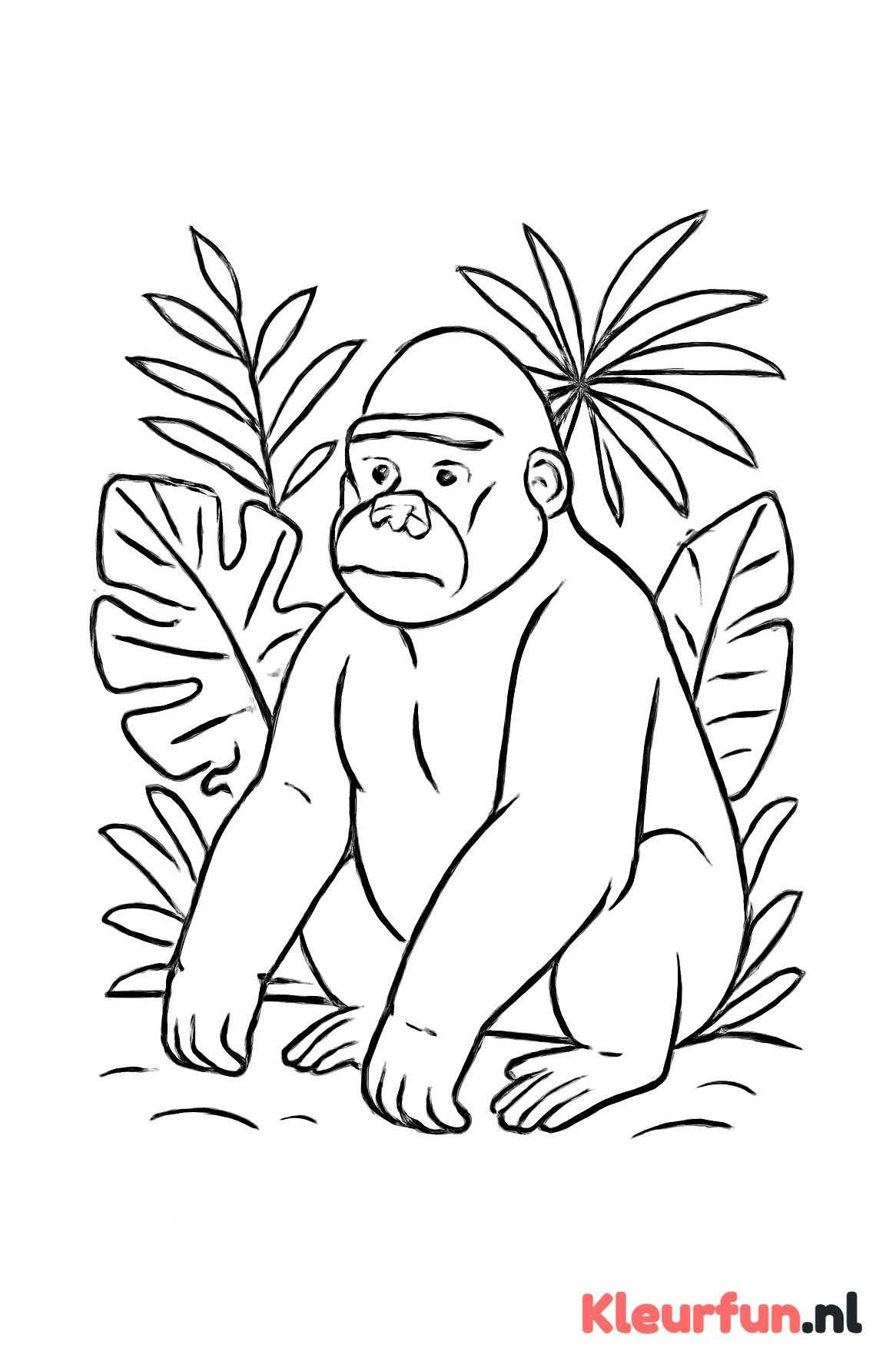 Gorilla Zittend in het Bos
