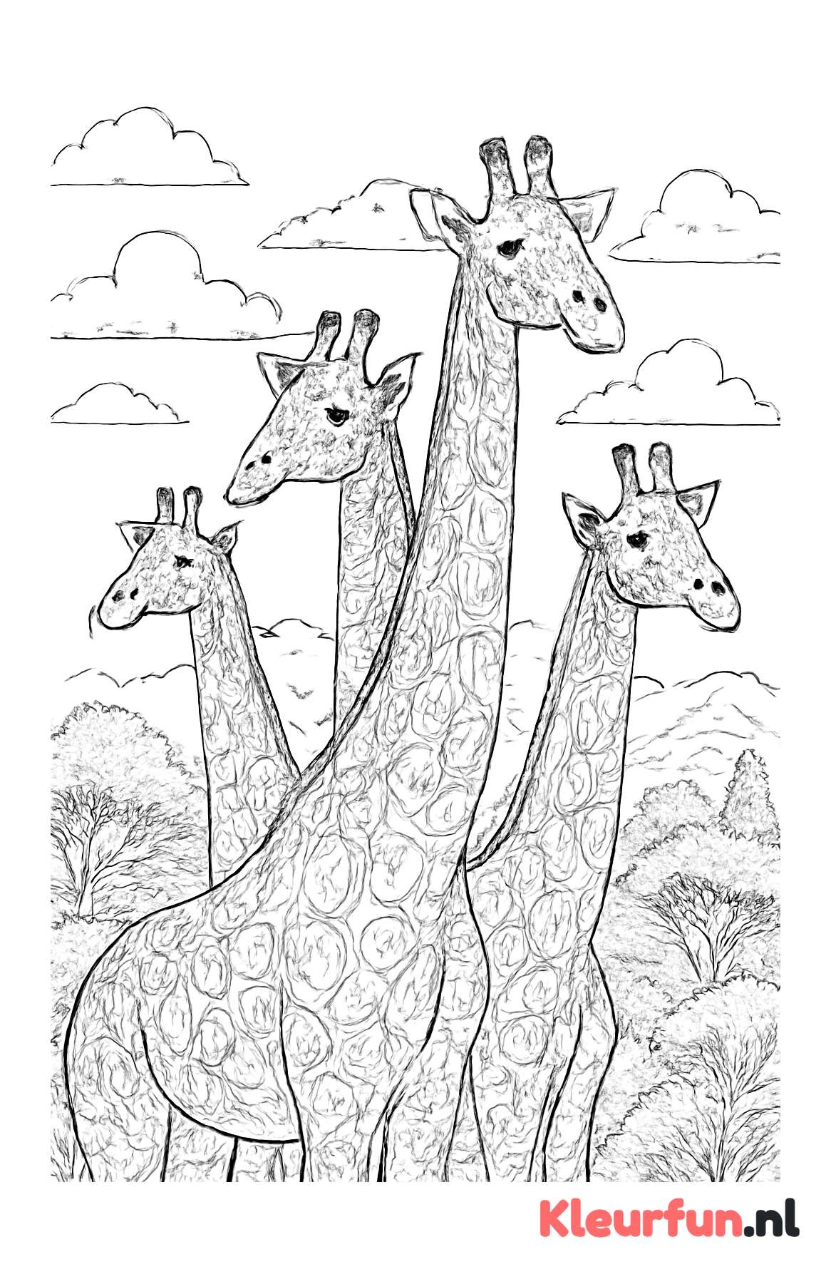 Groep giraffes met hoge nekken