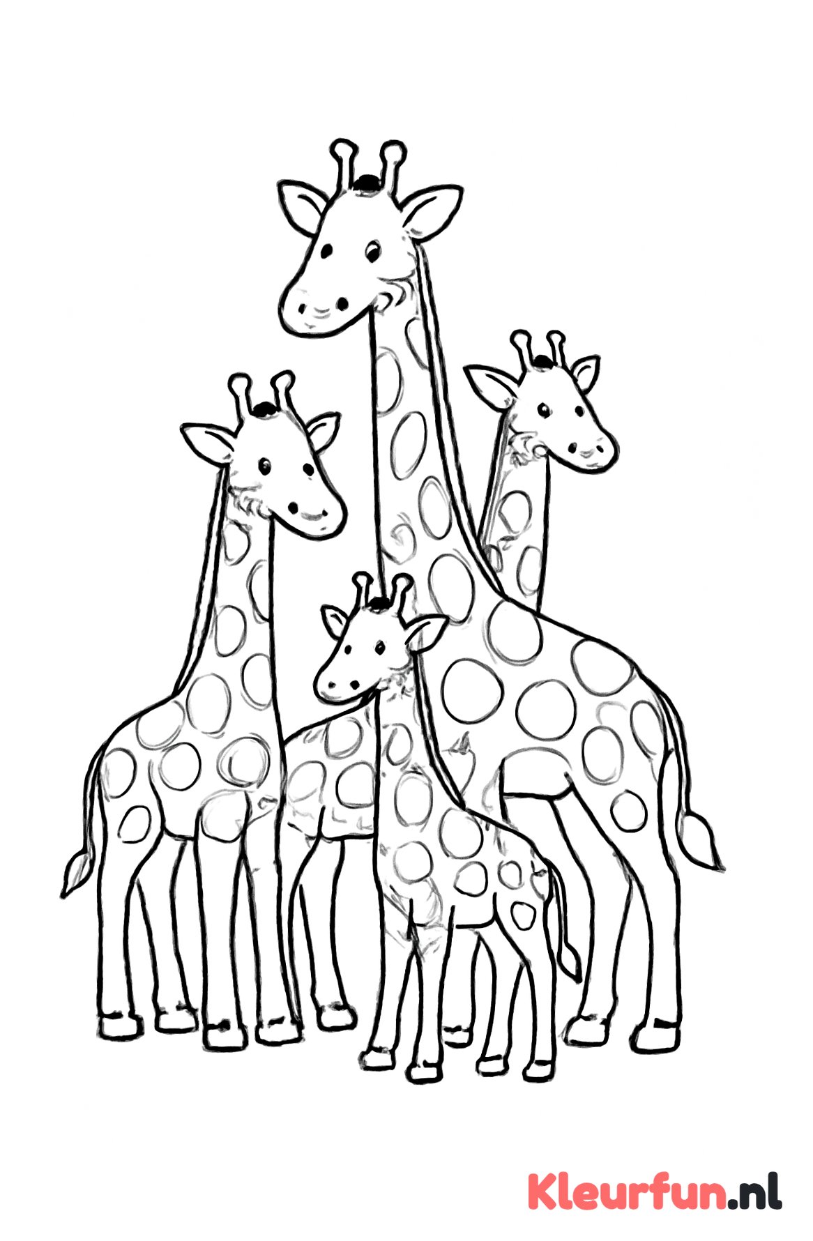 Groep giraffes samen