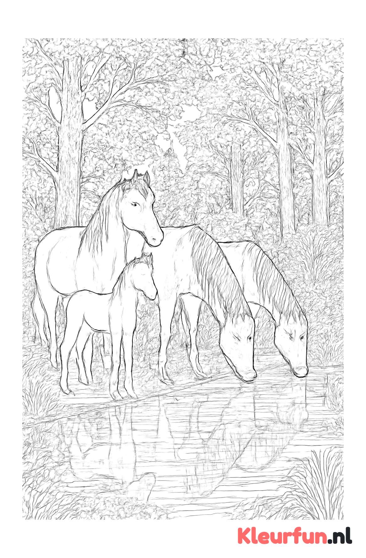 Groep paarden bij waterpoel