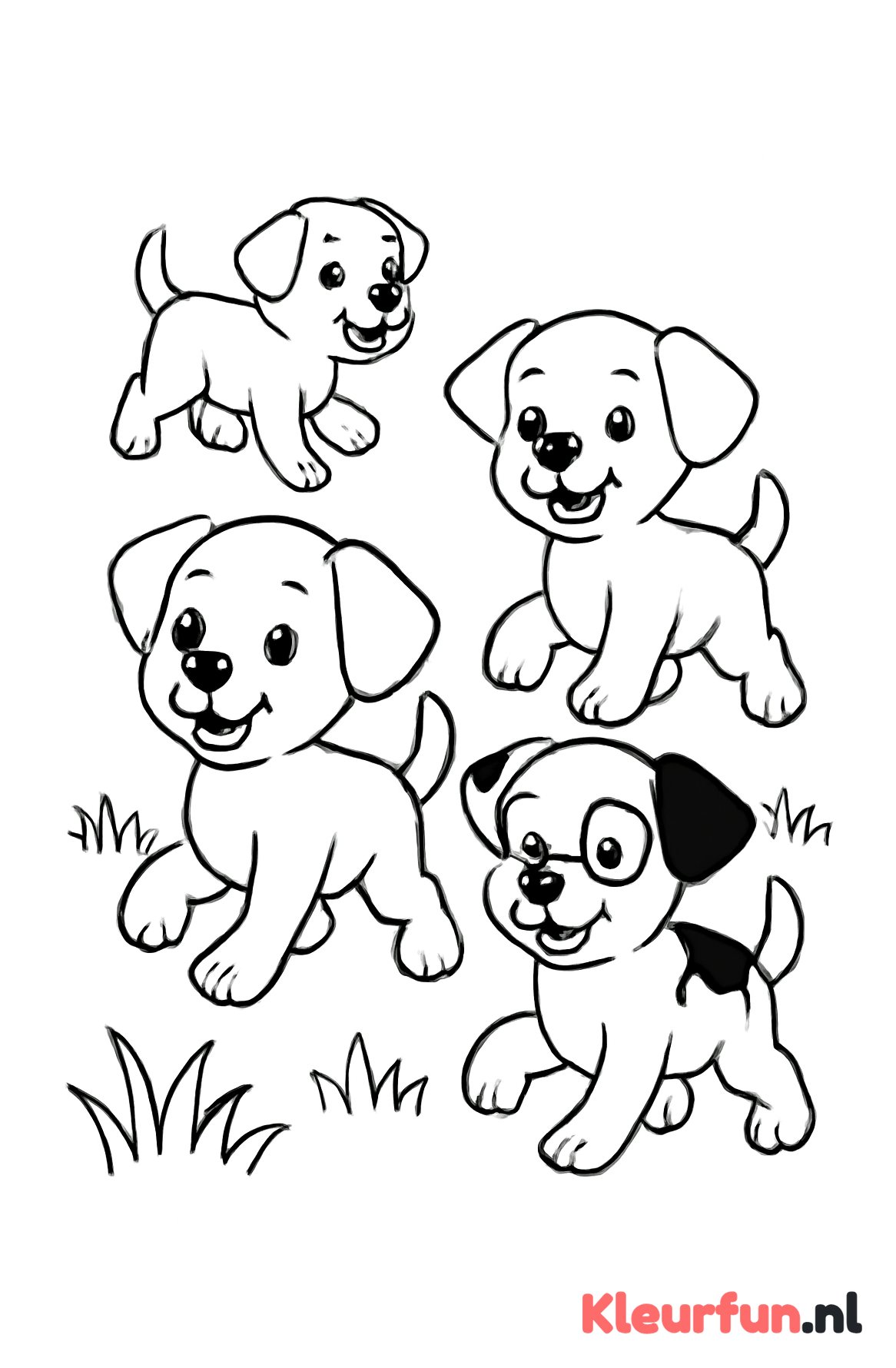 Groep Puppies Rennen in het Gras