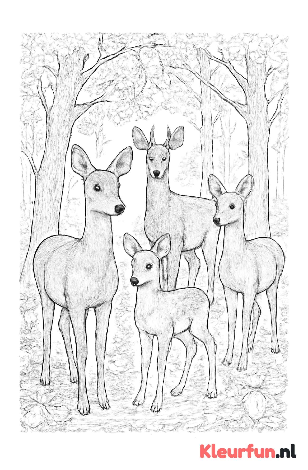 Groep Reeën in het Bos