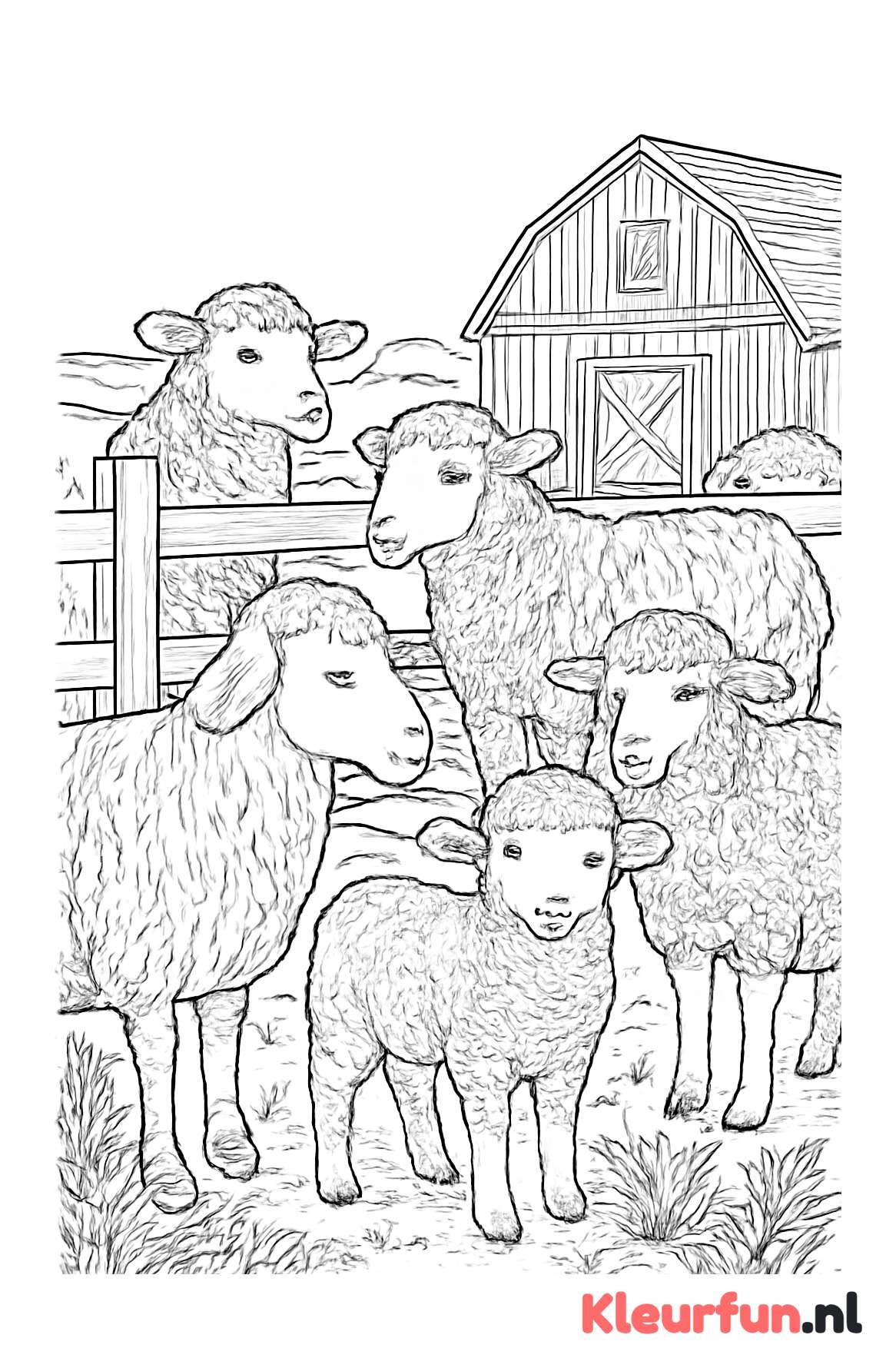 Groep Schapen op het Boerenerf