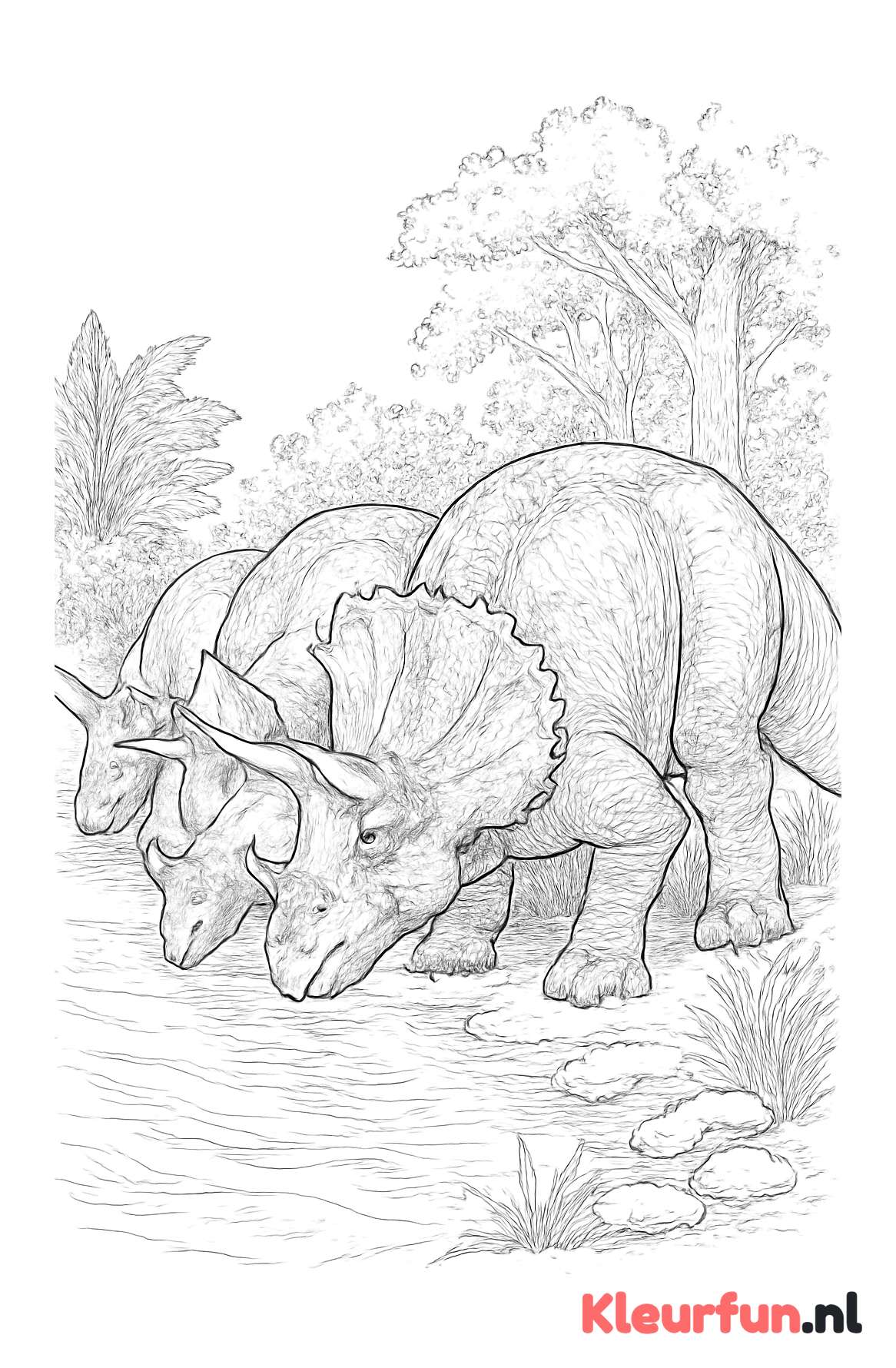 Groep Triceratops Drinkt Water