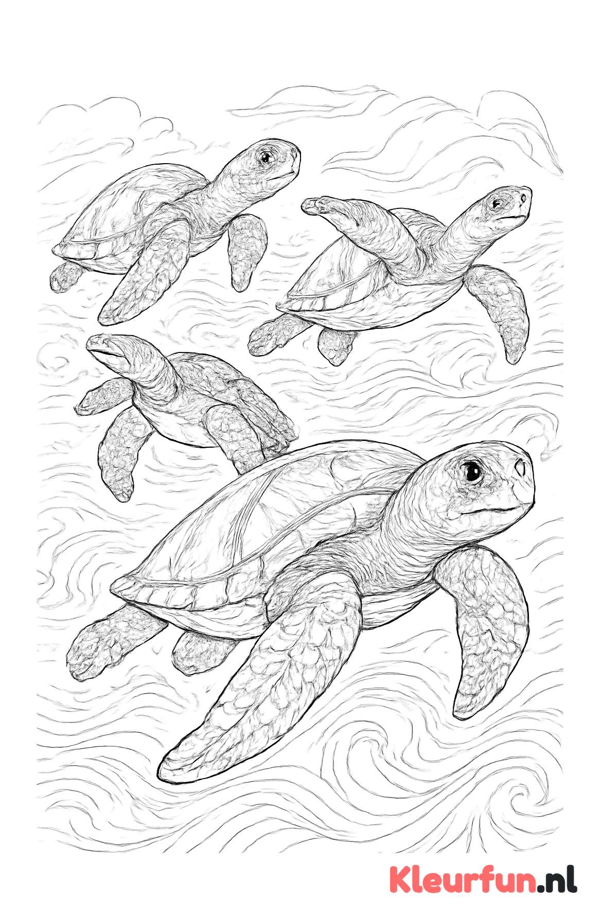 Groep zeeschildpadden zwemmen