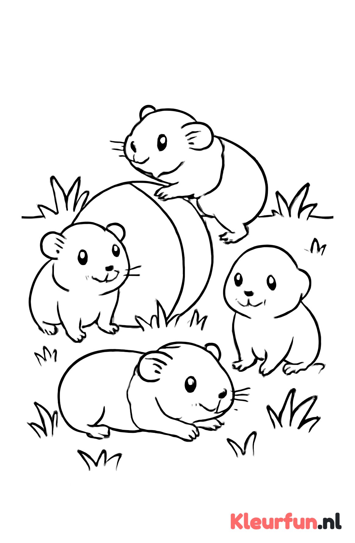 Groepje cavia's samen spelen
