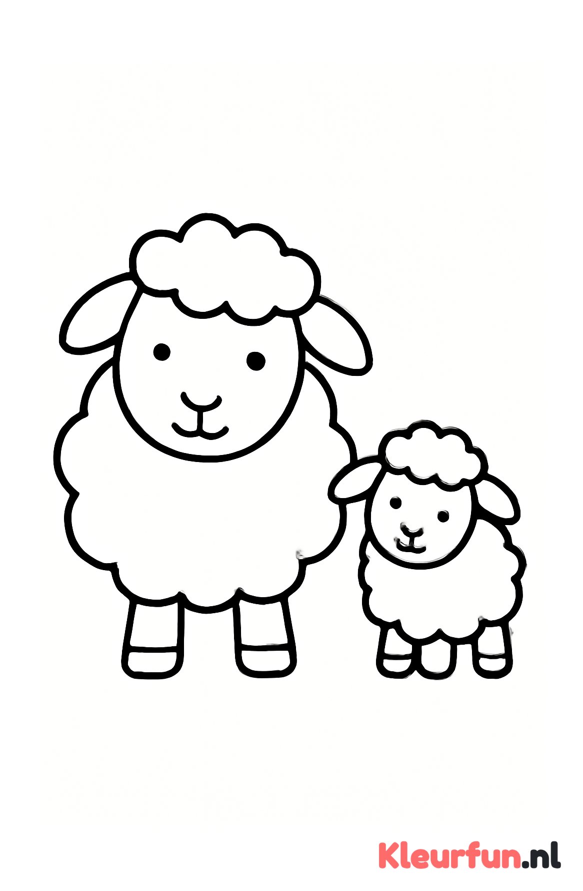 Groot en klein schaap