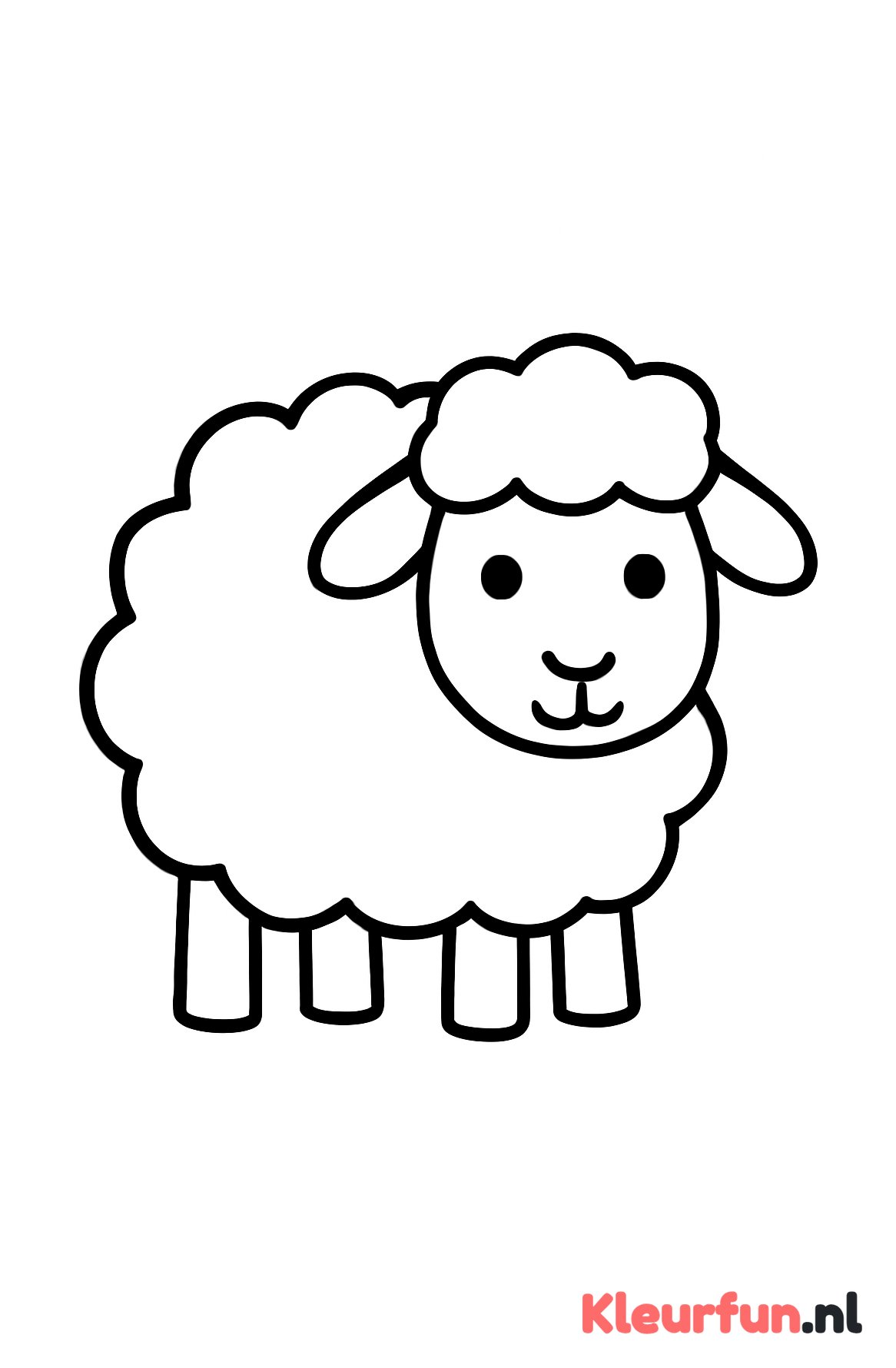 Groot simpel schaap