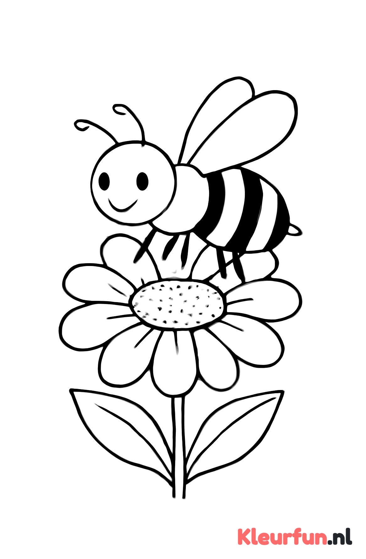 Grote bij op bloem