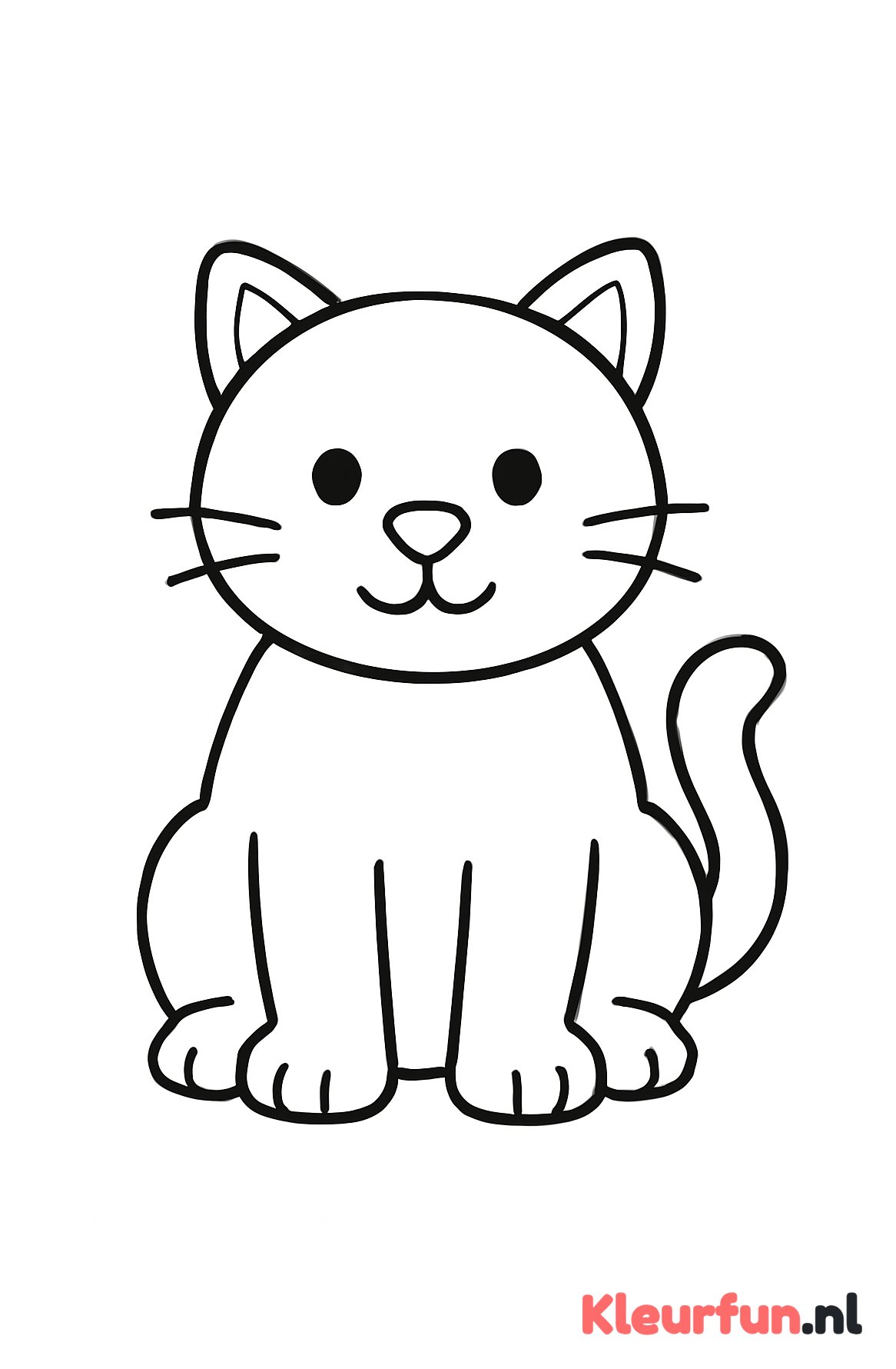 Grote eenvoudige kat