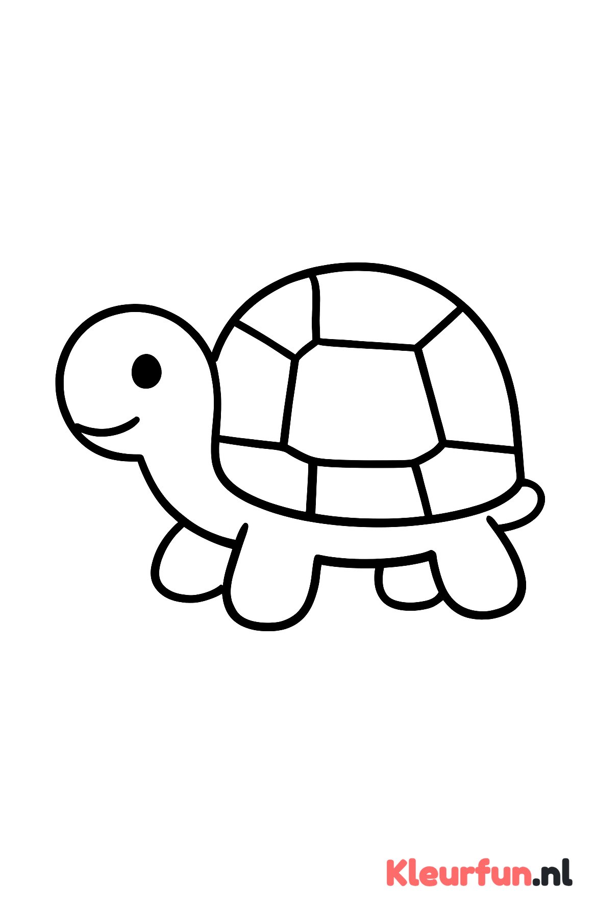 Grote eenvoudige schildpad