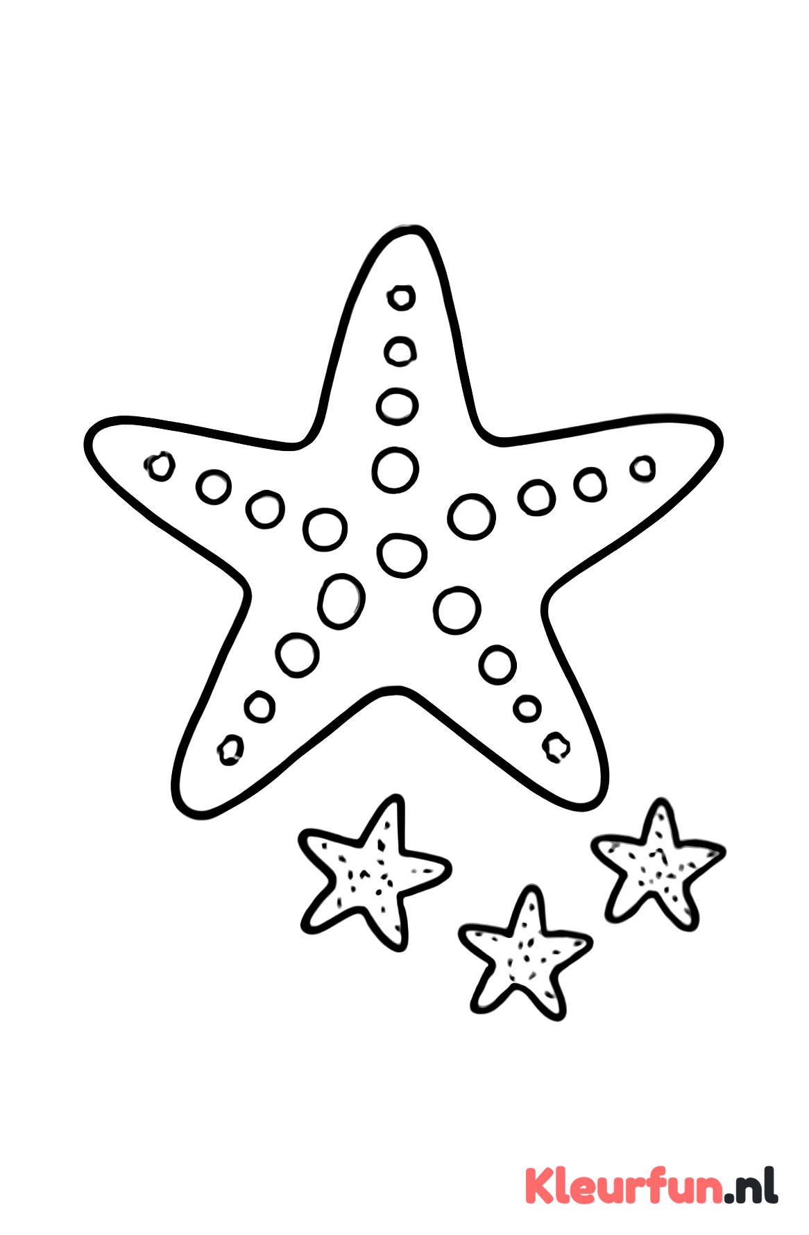 Grote en kleine zeesterren