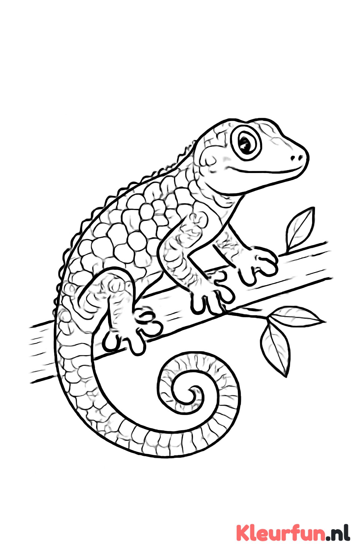 Grote gekko op tak