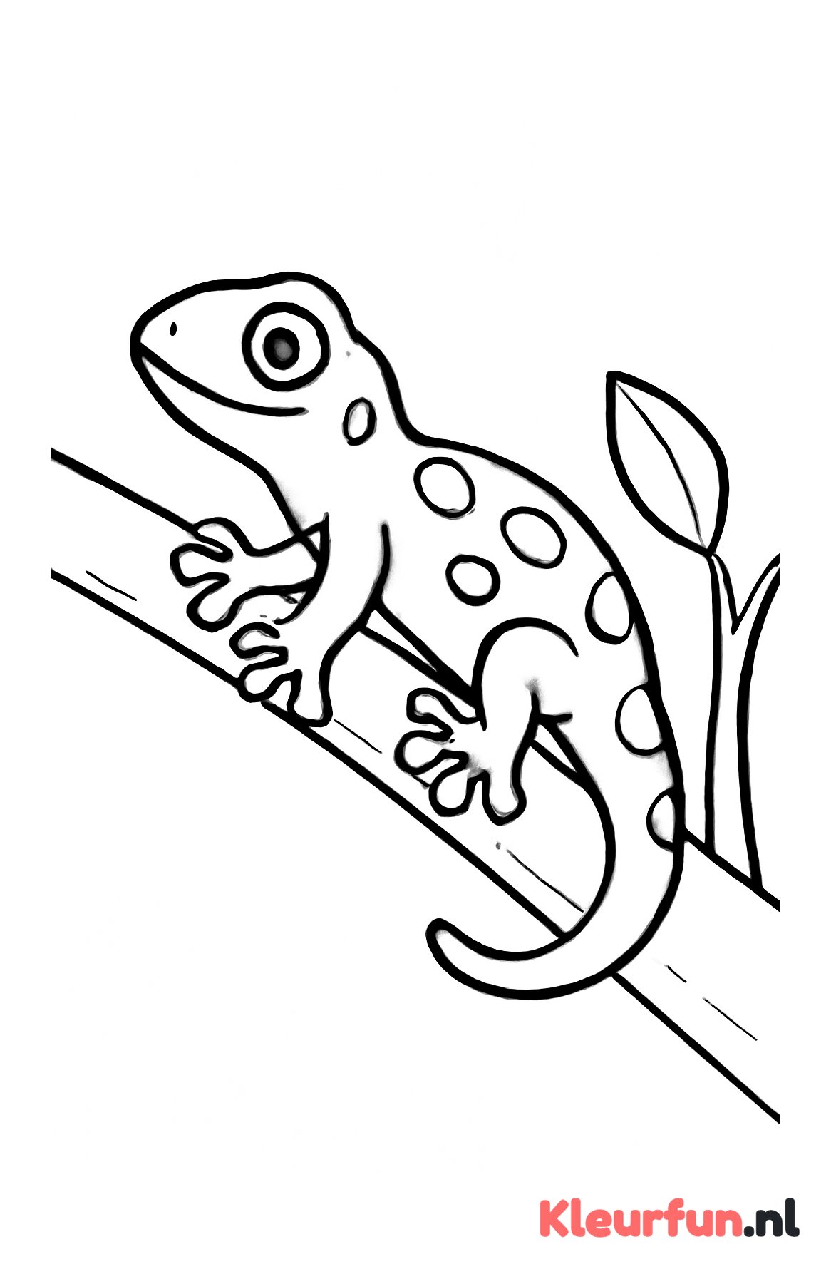 Grote gekko op tak