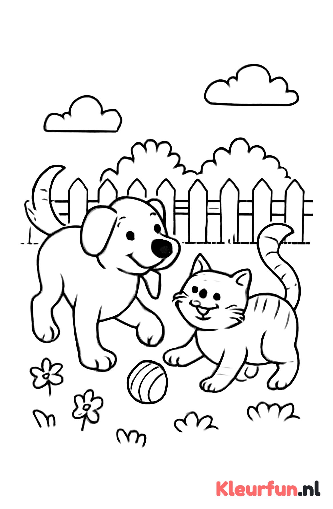 Hond en kat spelen samen