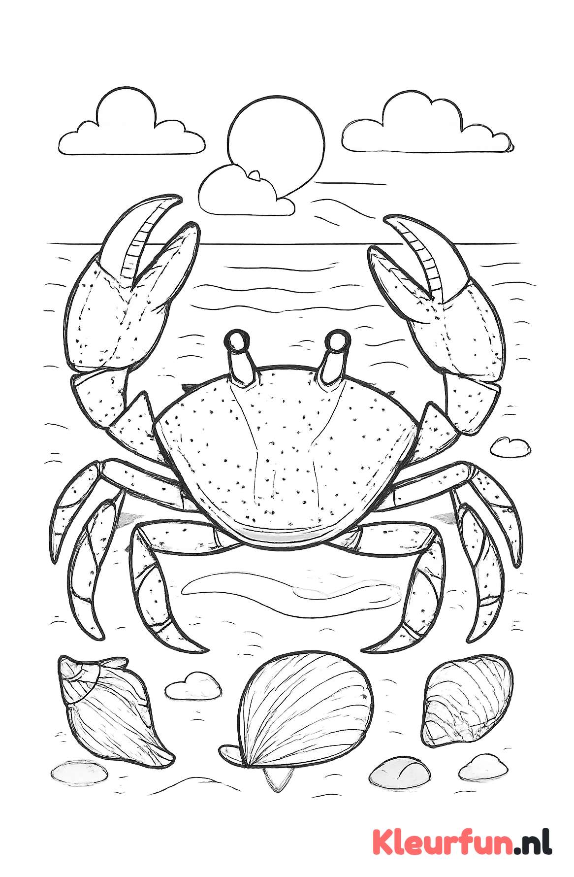 Grote krab op het strand