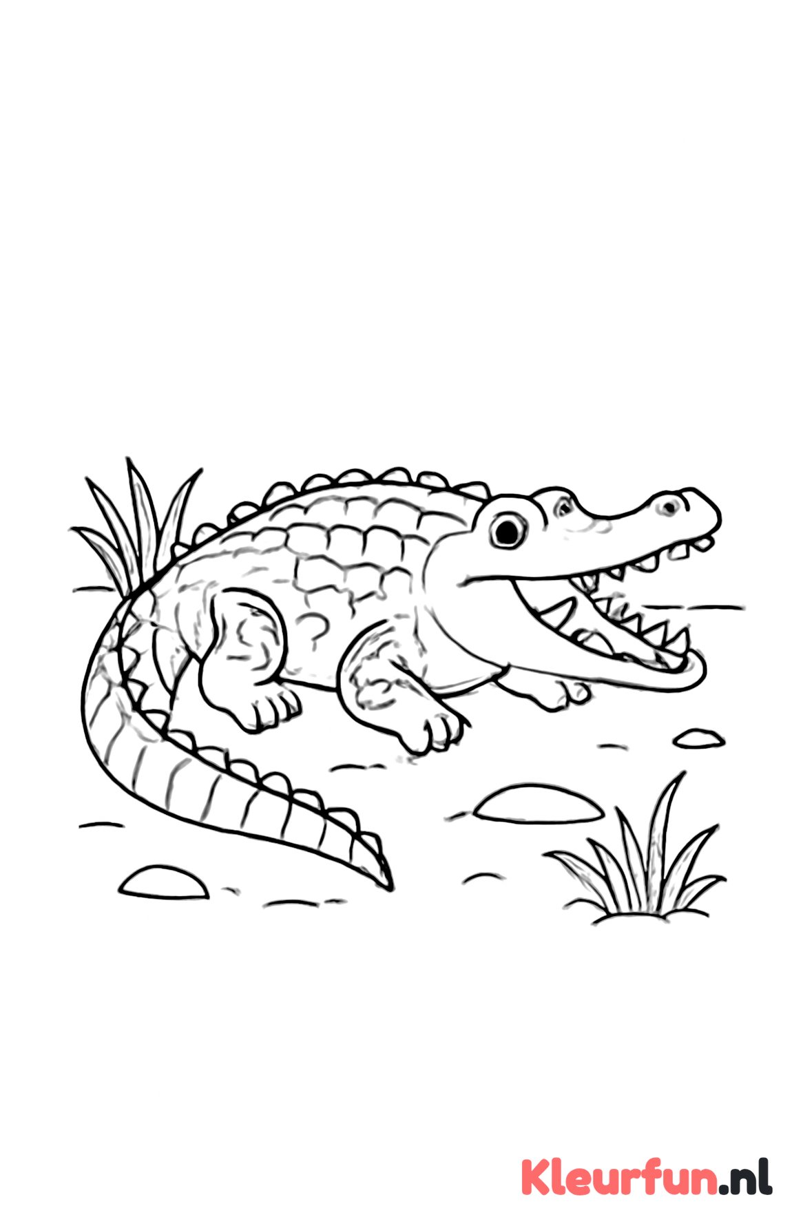Grote Krokodil op het Droge