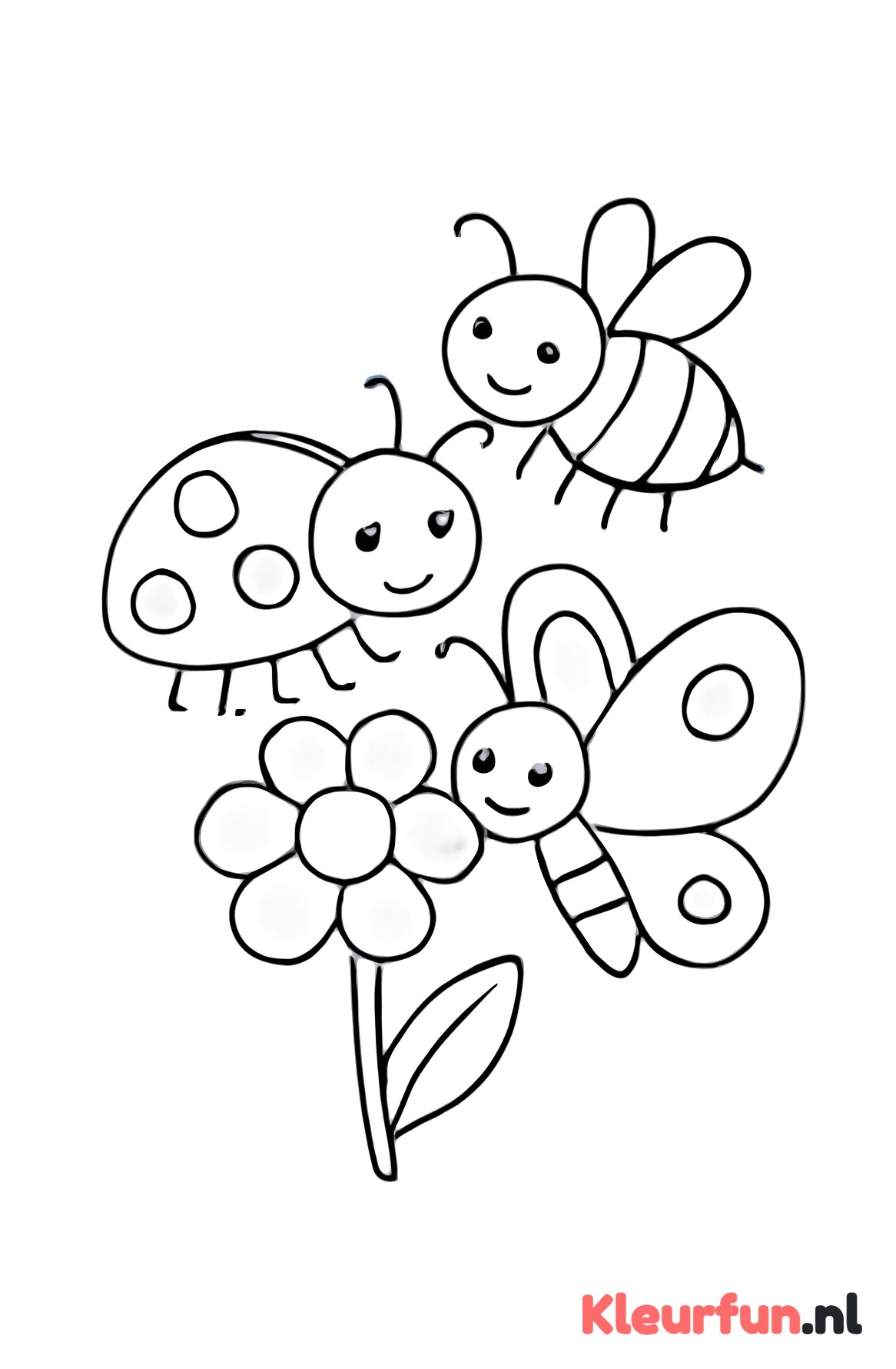 Grote lieveheersbeestje en hommel