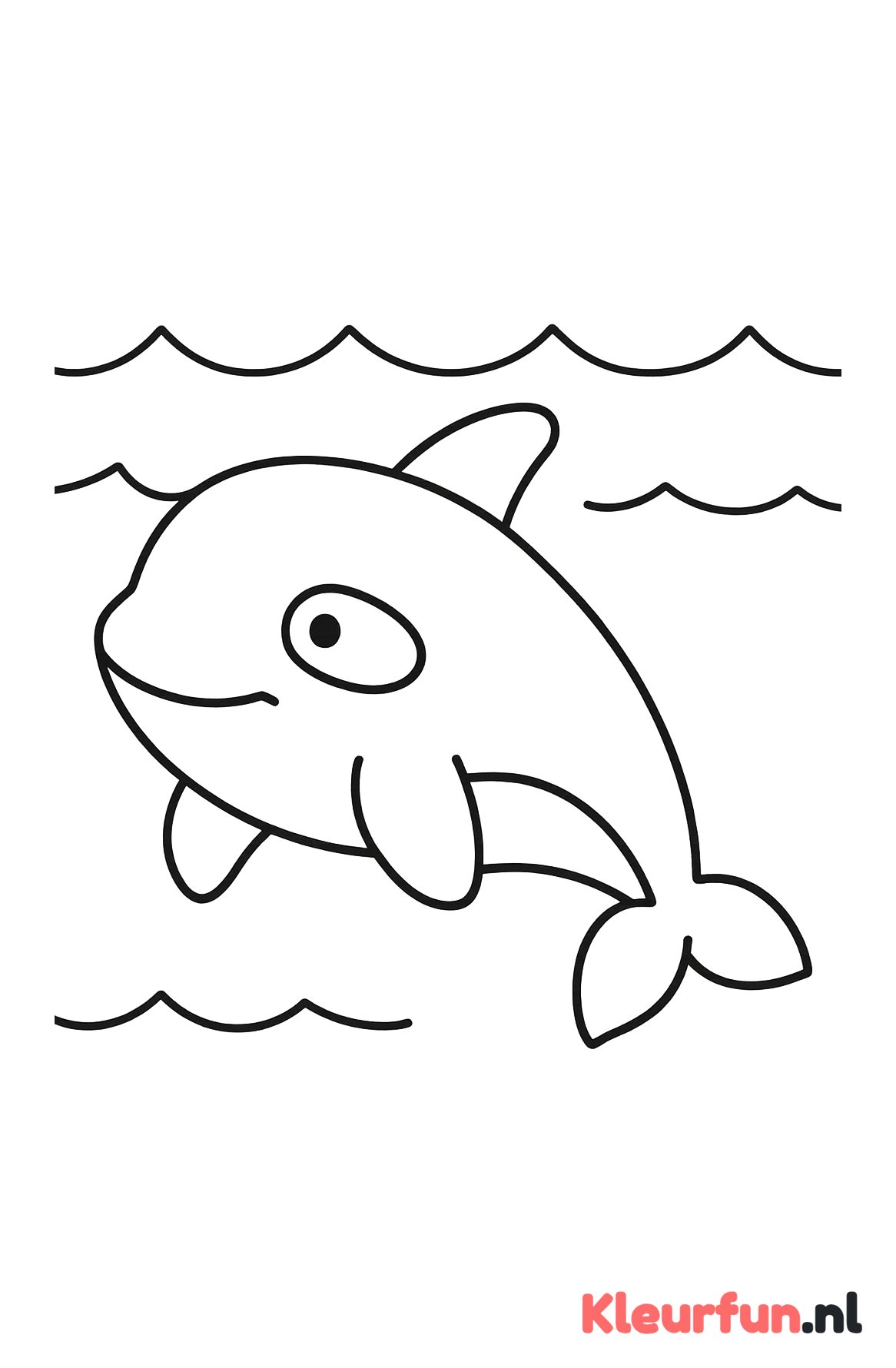 Grote orka in de zee