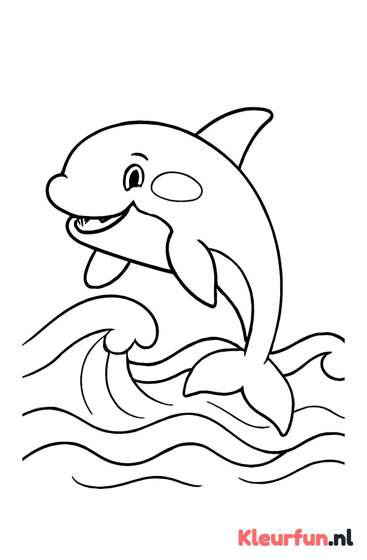 Grote orka zwemmend in de zee