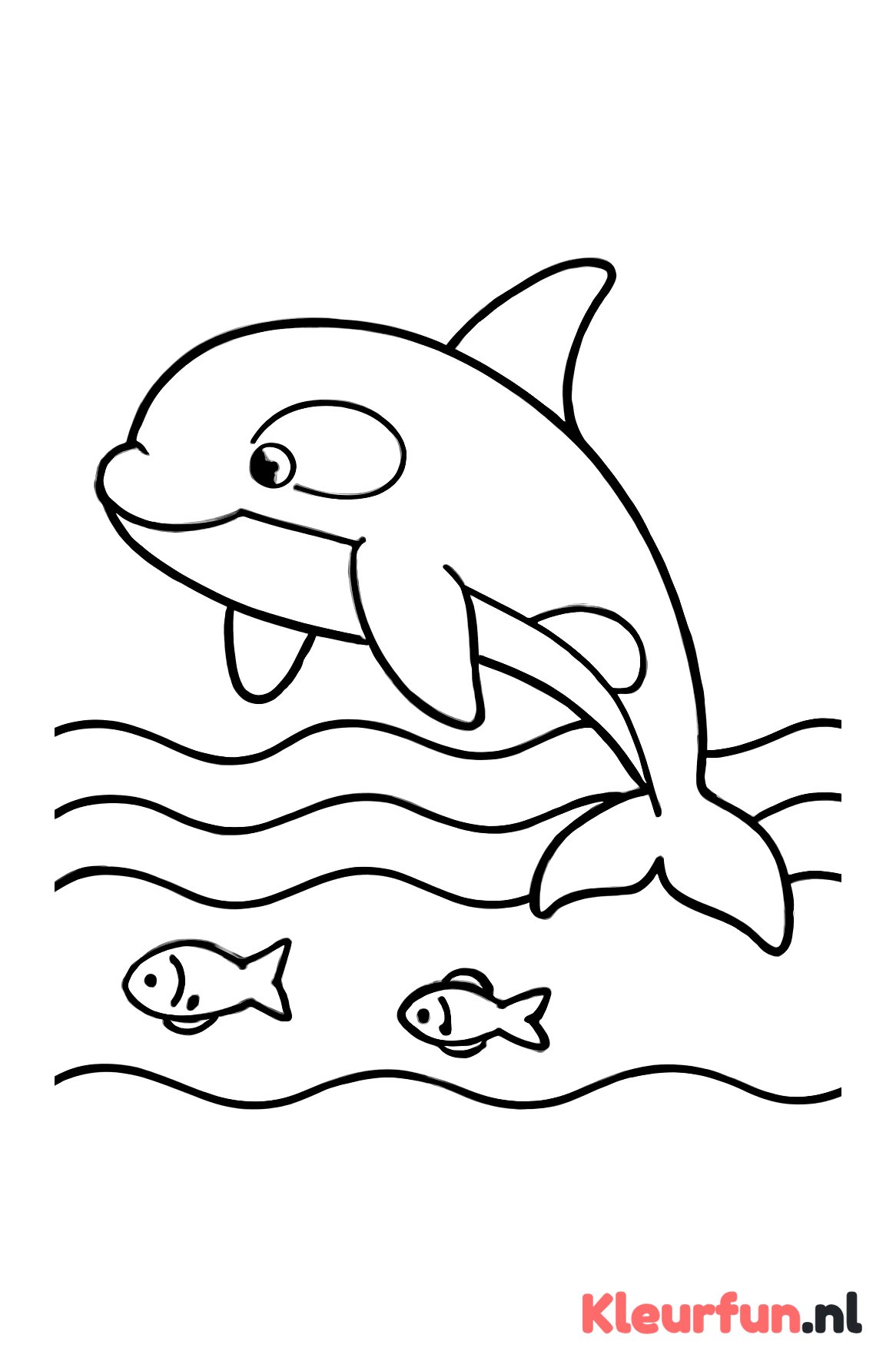 Grote orka in zee