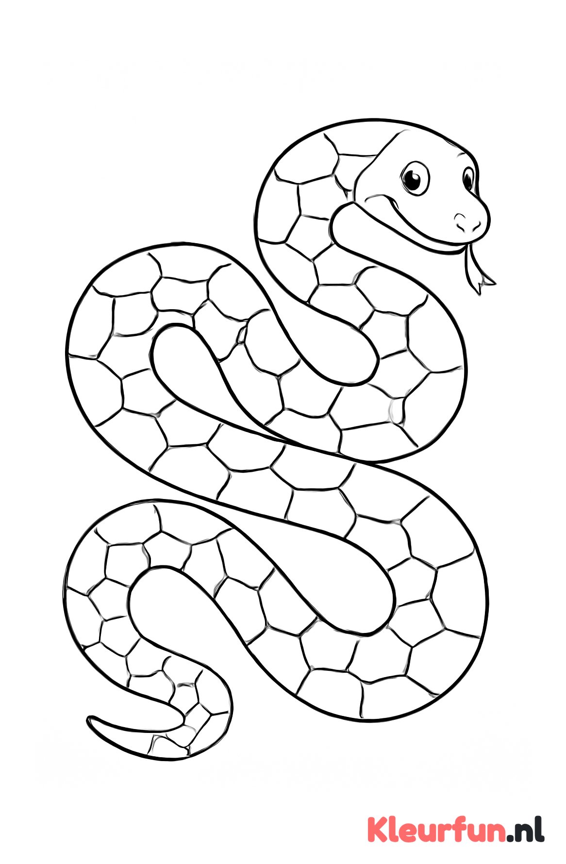 Grote kronkelende python