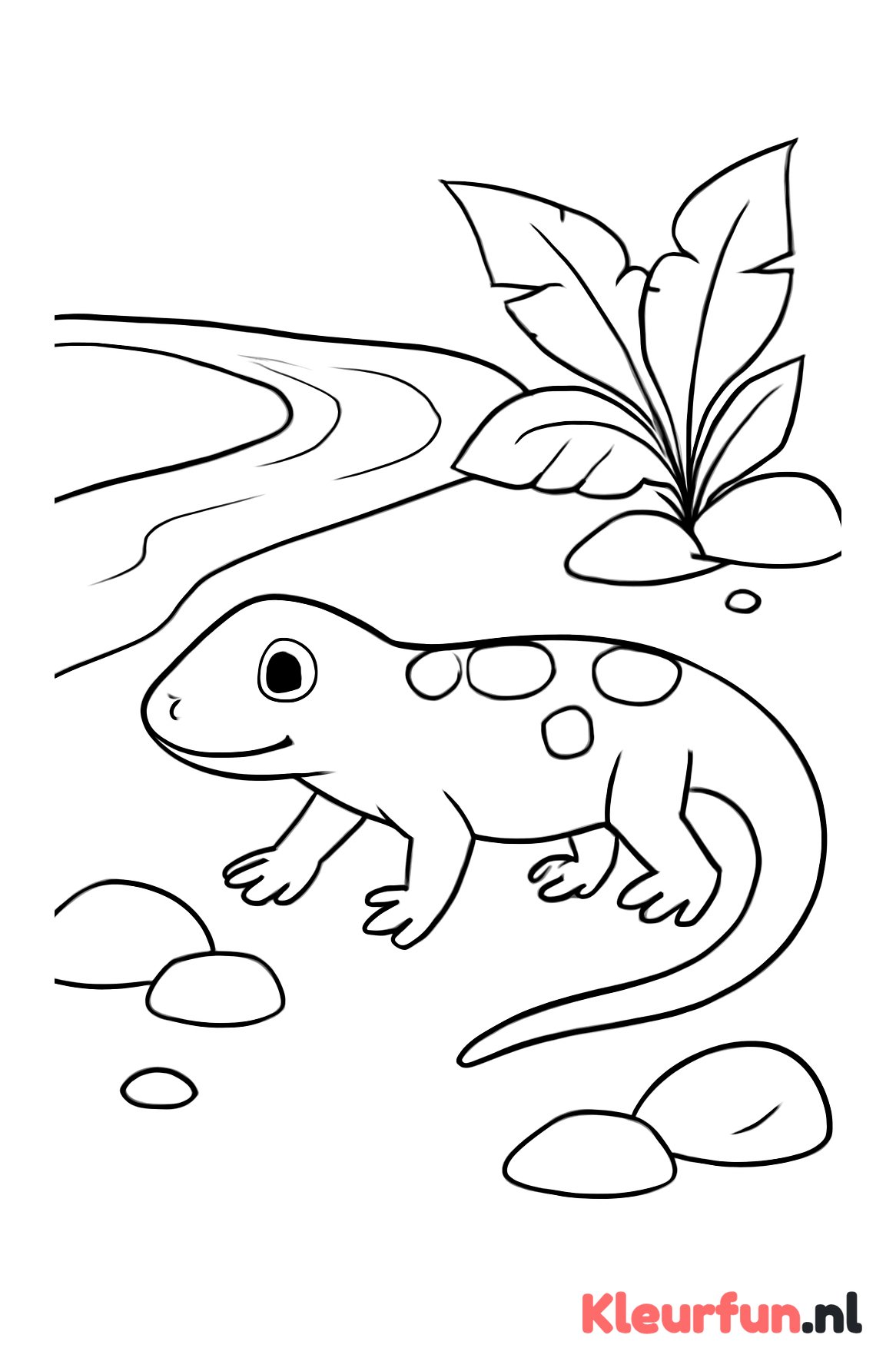 Salamander langs de rivier
