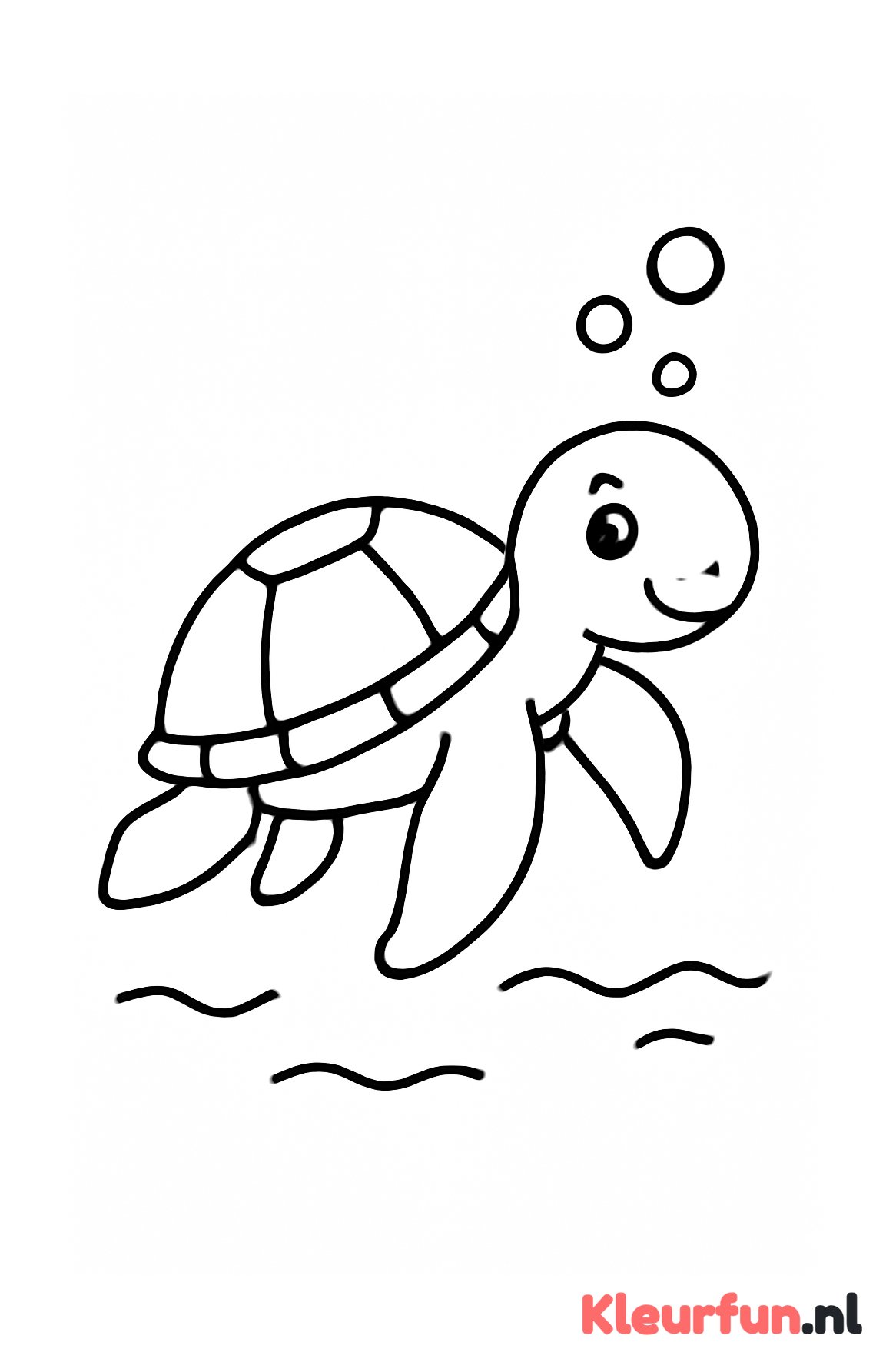 Grote schattige zeeschildpad