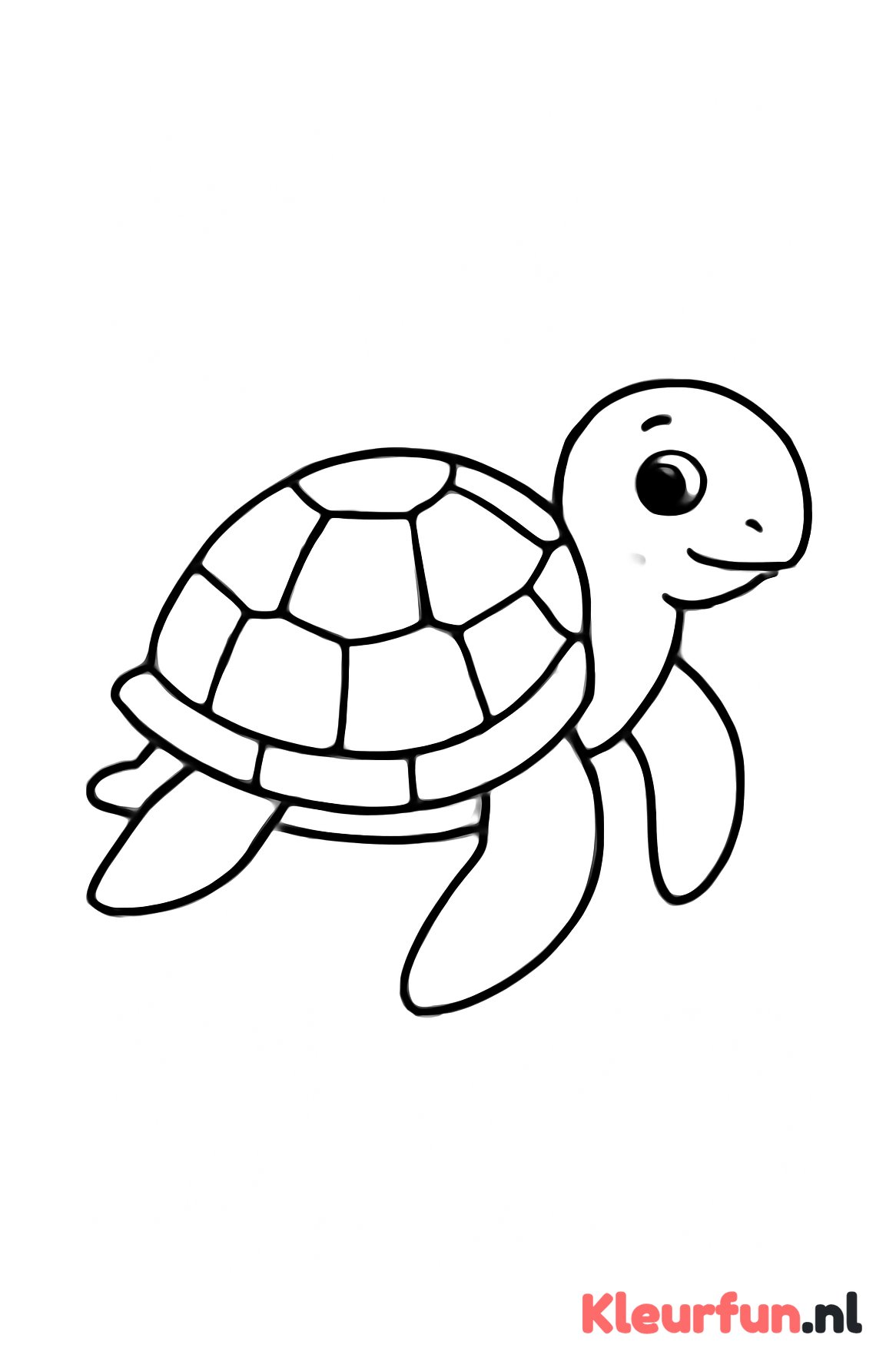 Zeeschildpad met grote schild-patronen