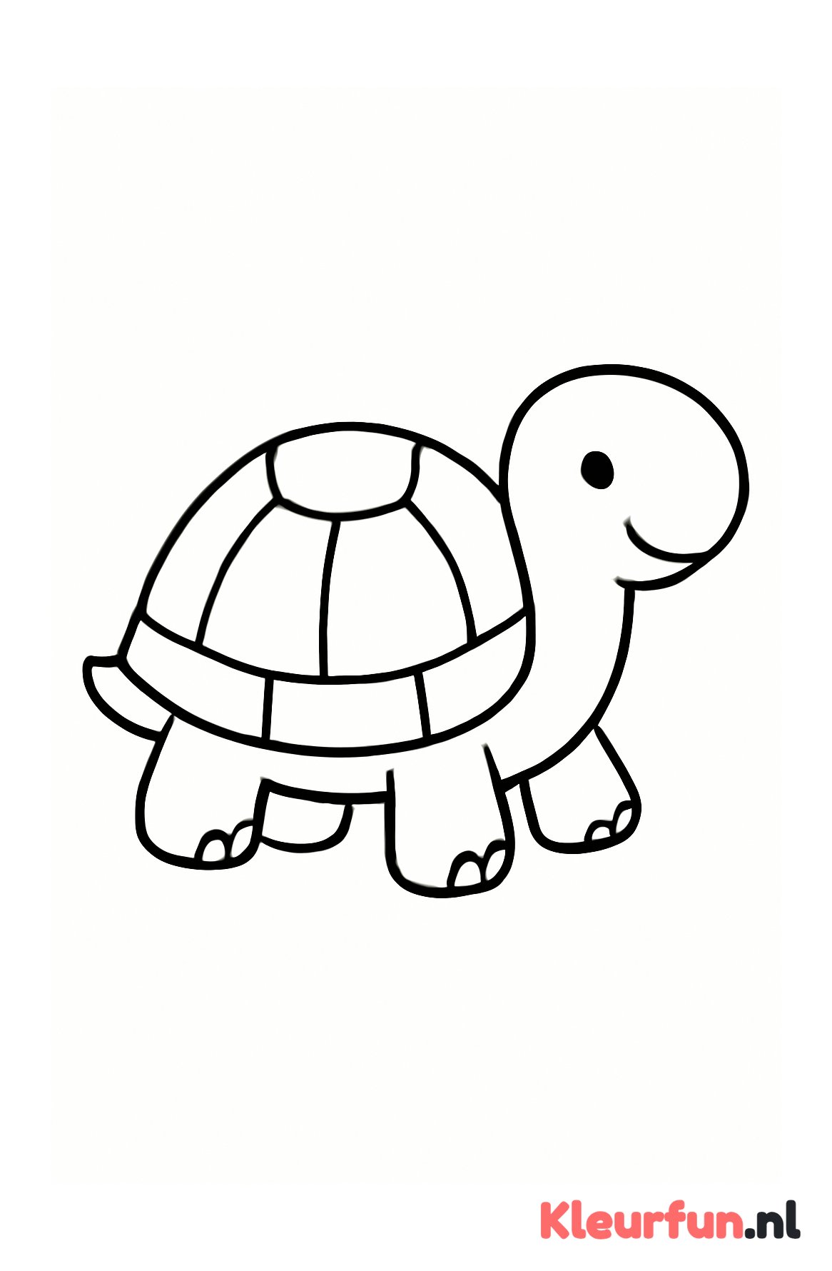 Grote schildpad met eenvoudig patroon