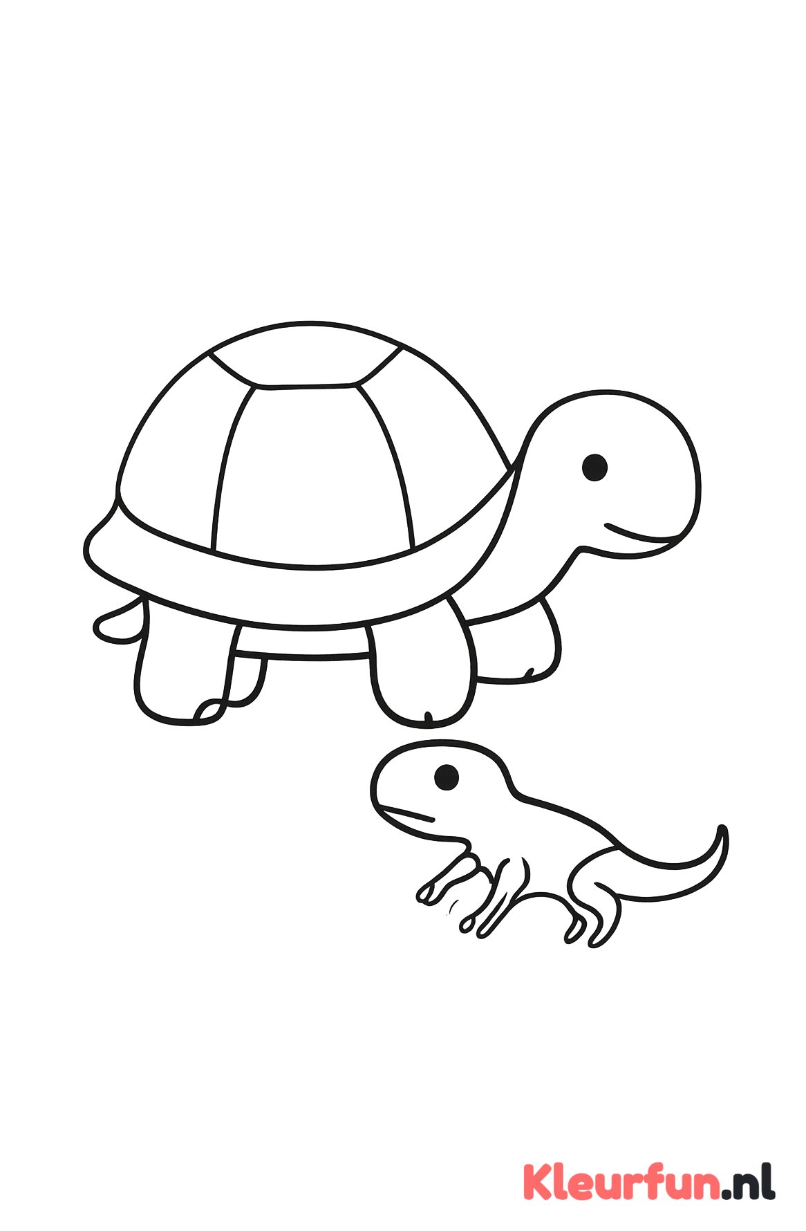 Grote schildpad en kleine hagedis