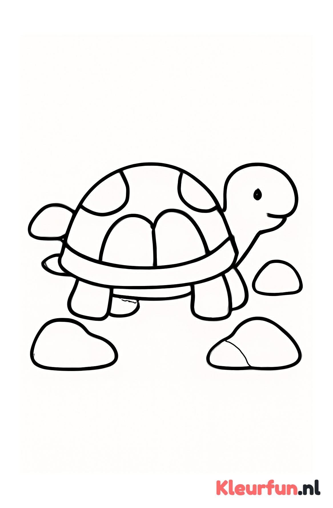 Grote schildpad tussen stenen