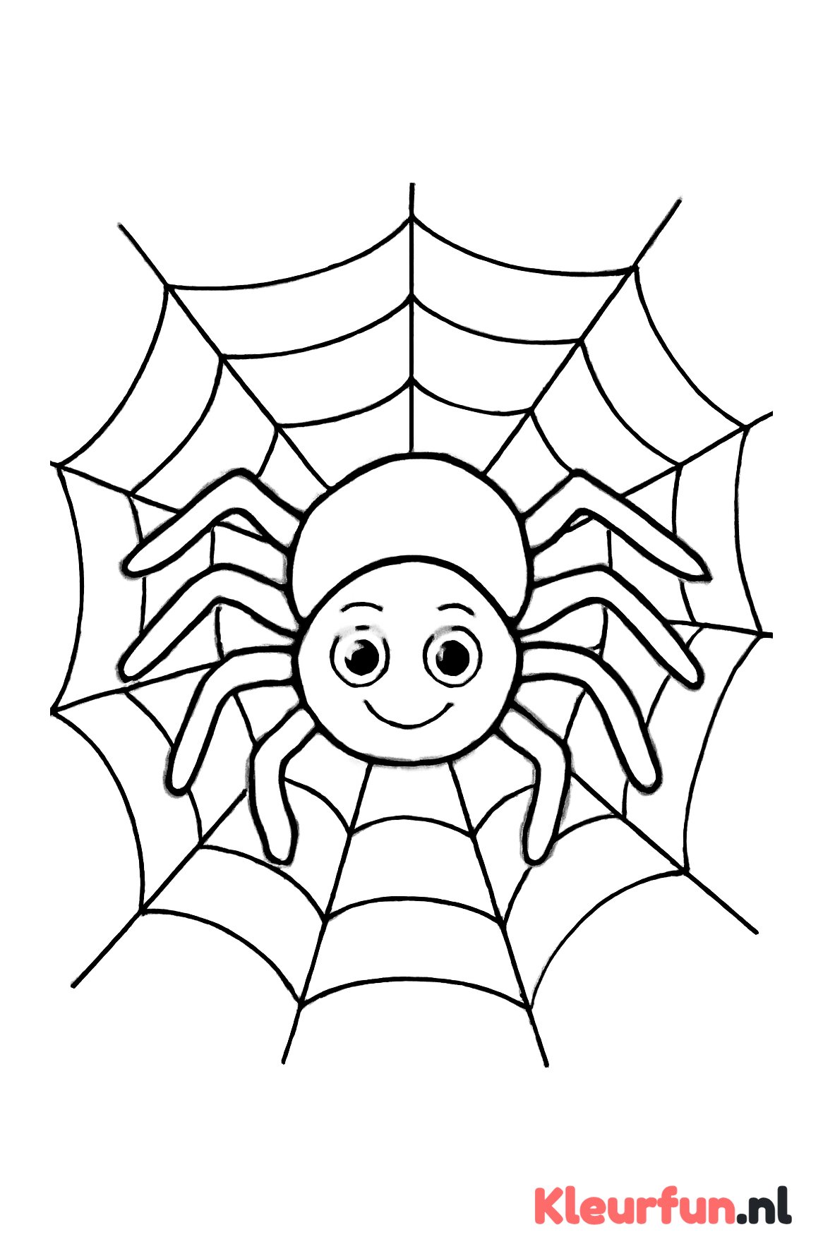 Grote spin en spinnenweb