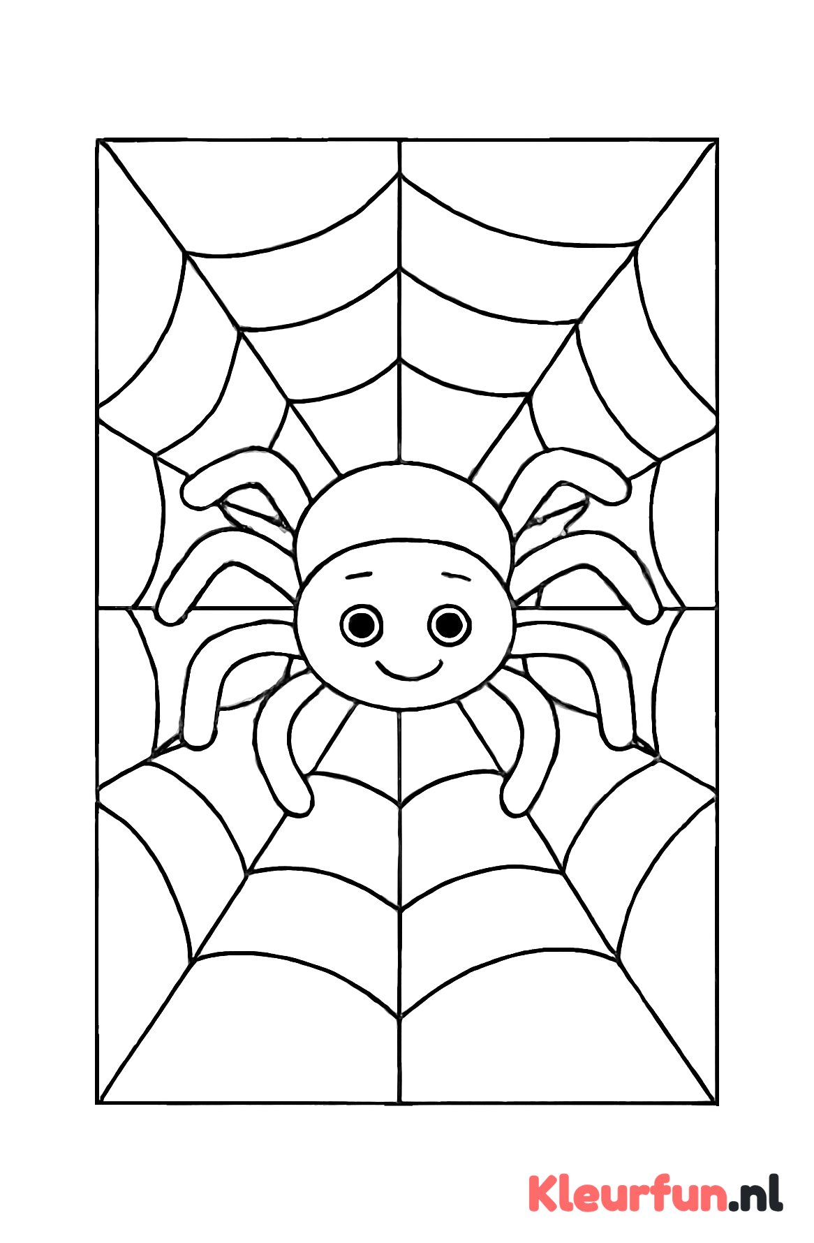Grote spin in spinnenweb