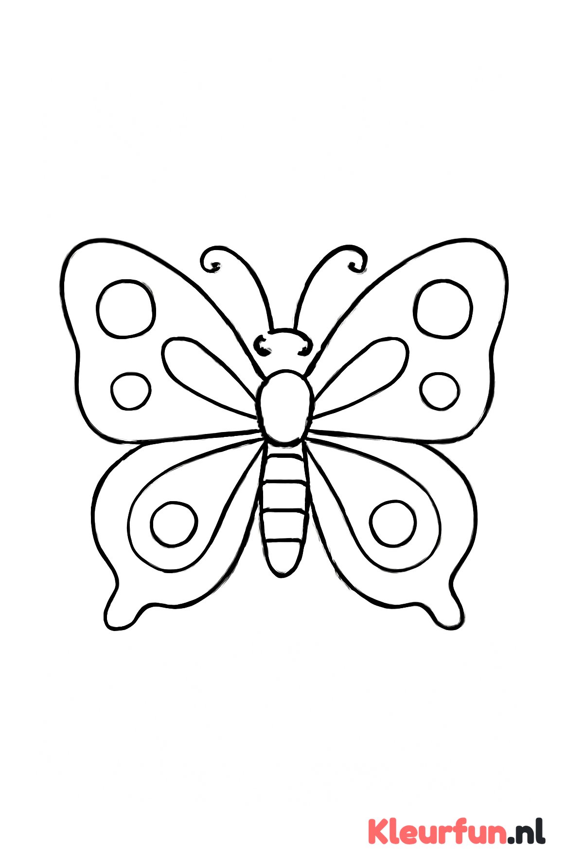 Grote vlinder met simpele vleugels