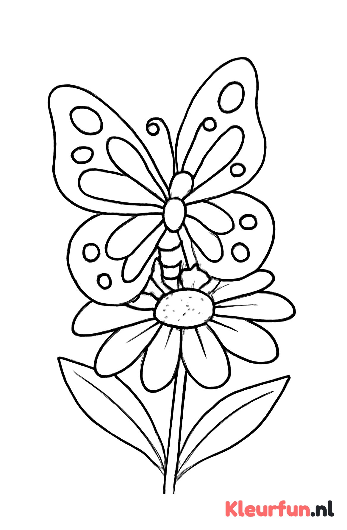 Grote vlinder op bloem
