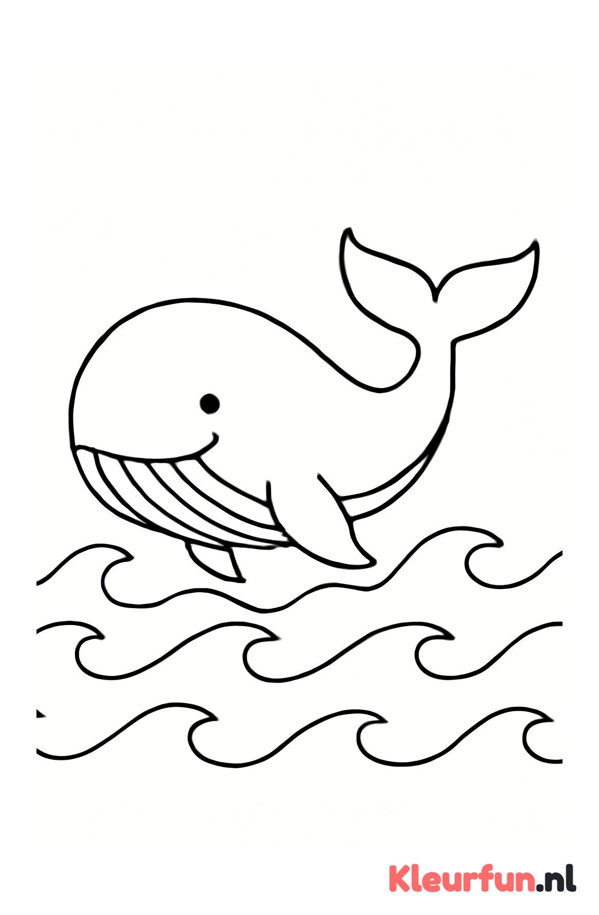 Grote walvis in de zee