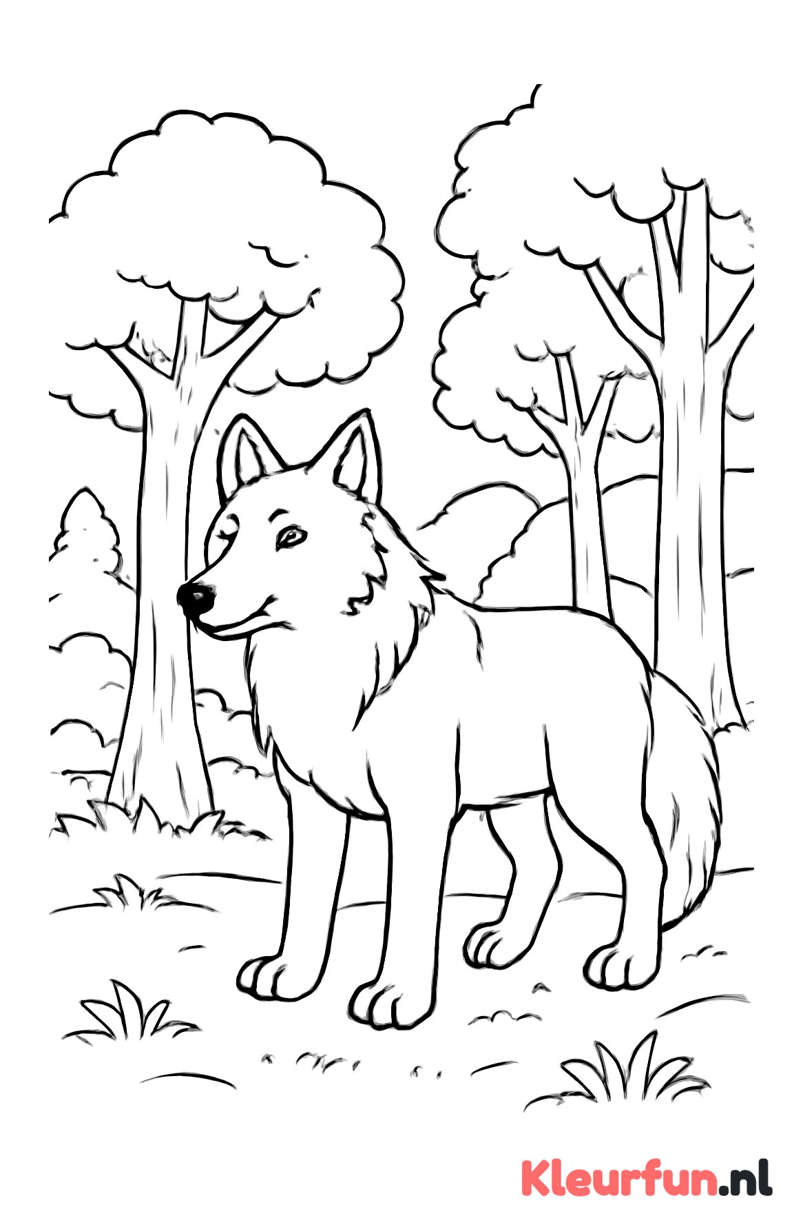 Wolf in het bos