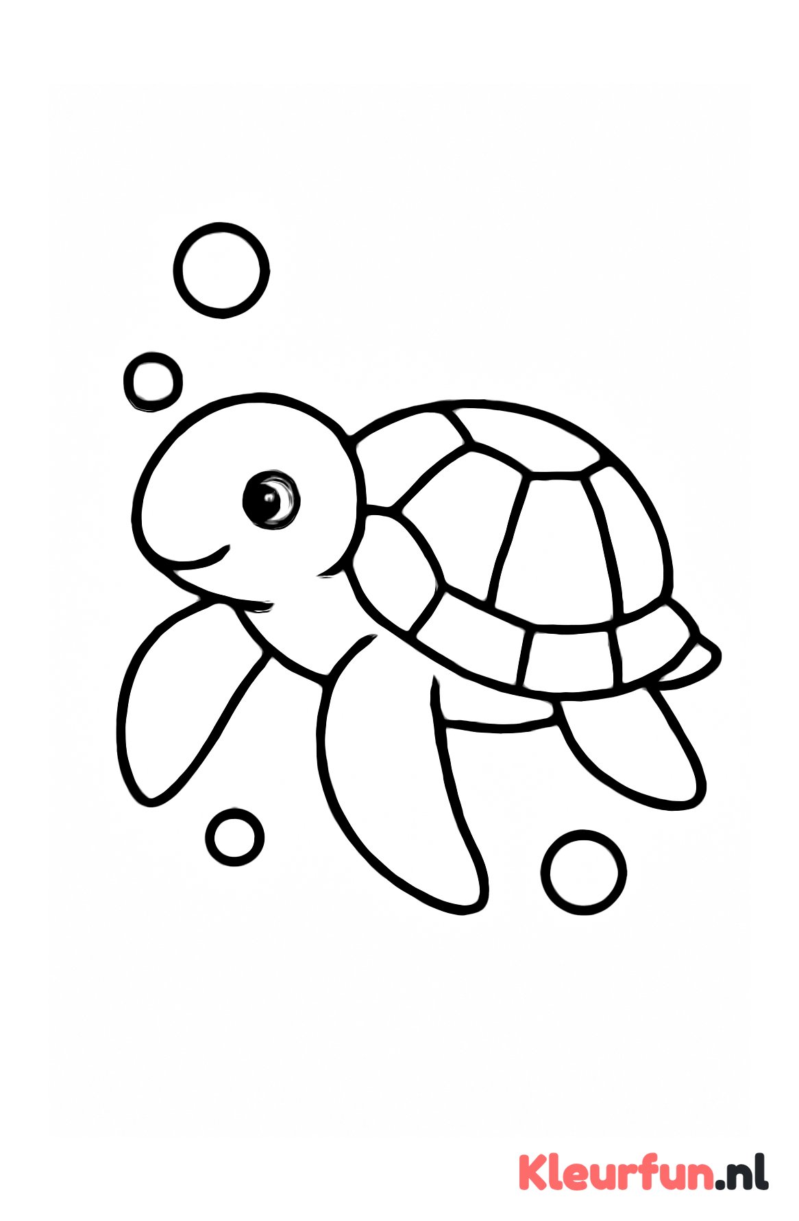 Zeeschildpad met bubbels