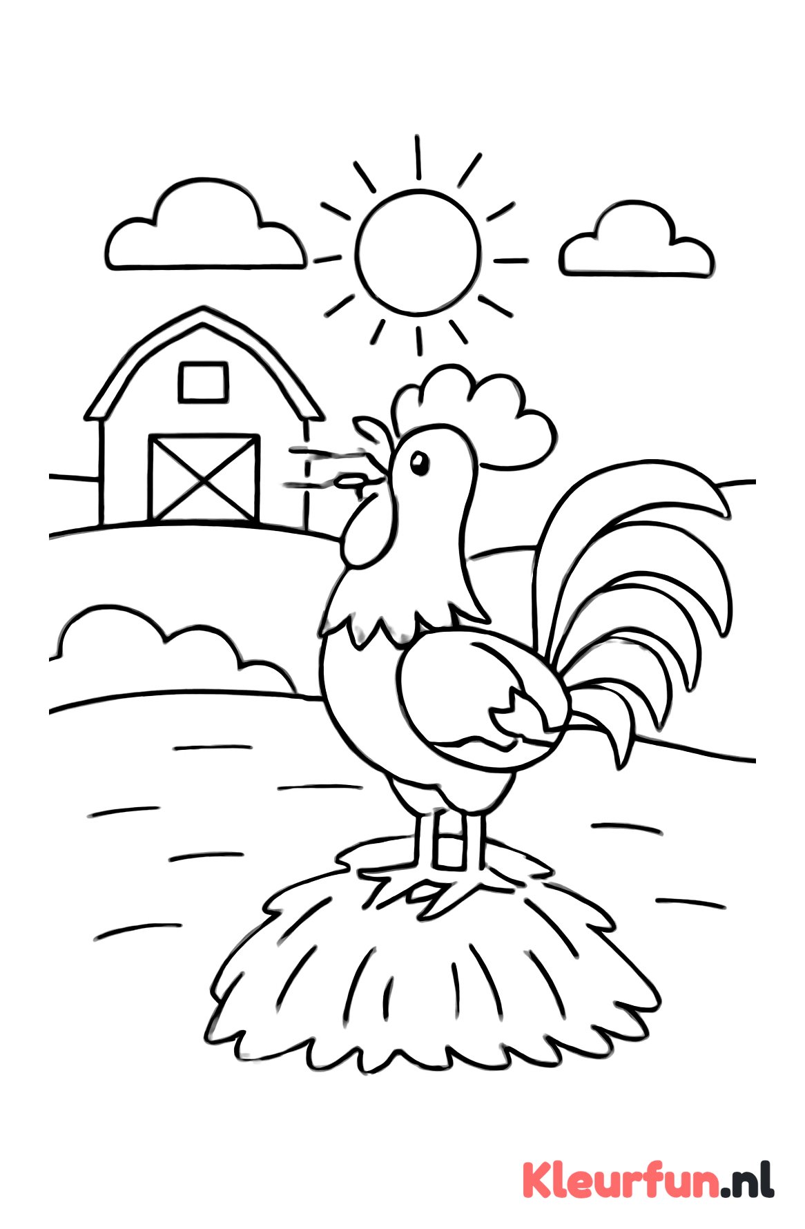 Haan kraaiend op de boerderij