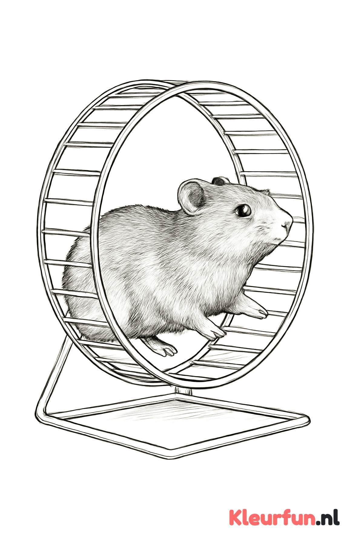 Hamster in het wiel