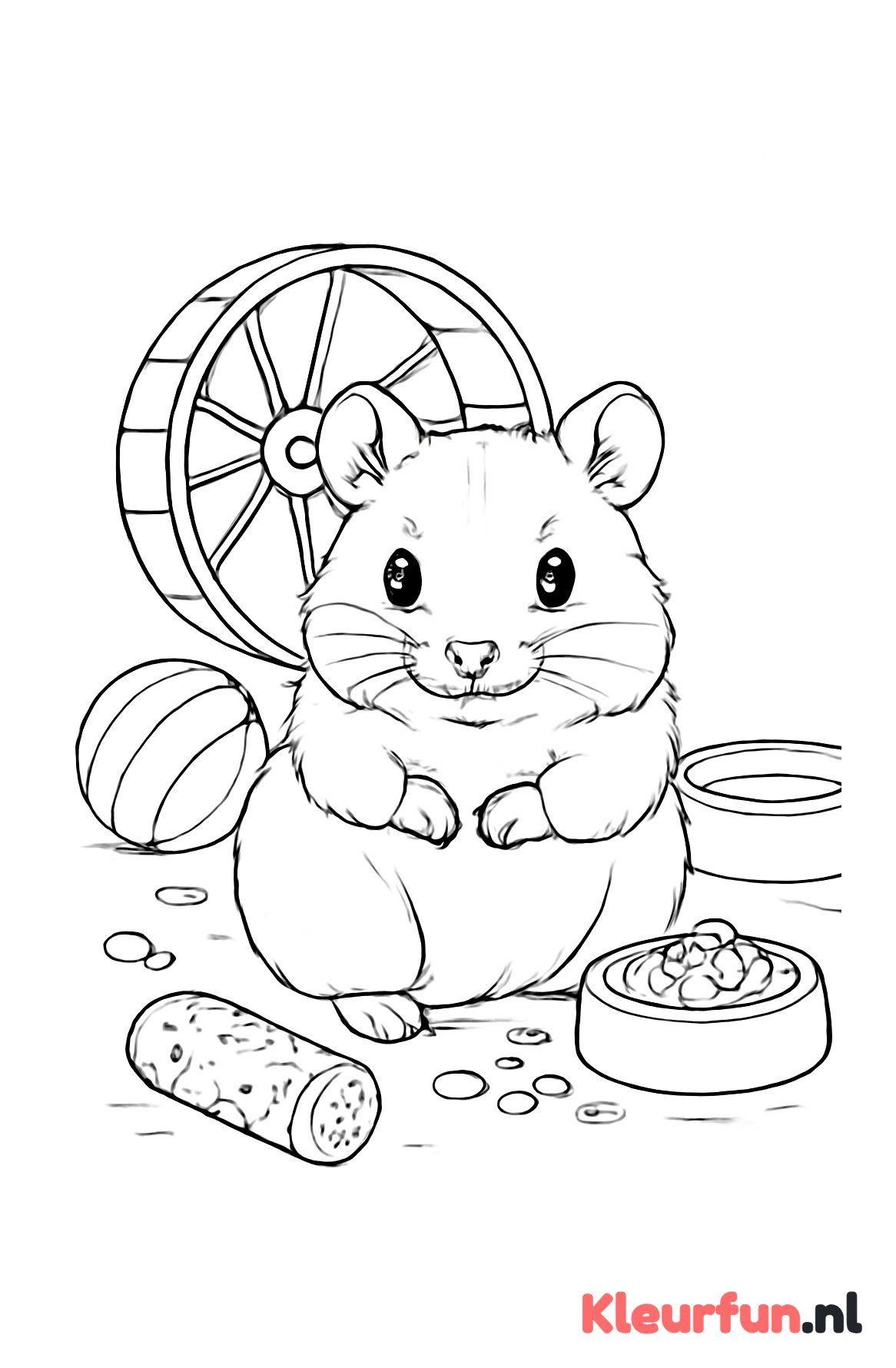 Hamster met speeltjes