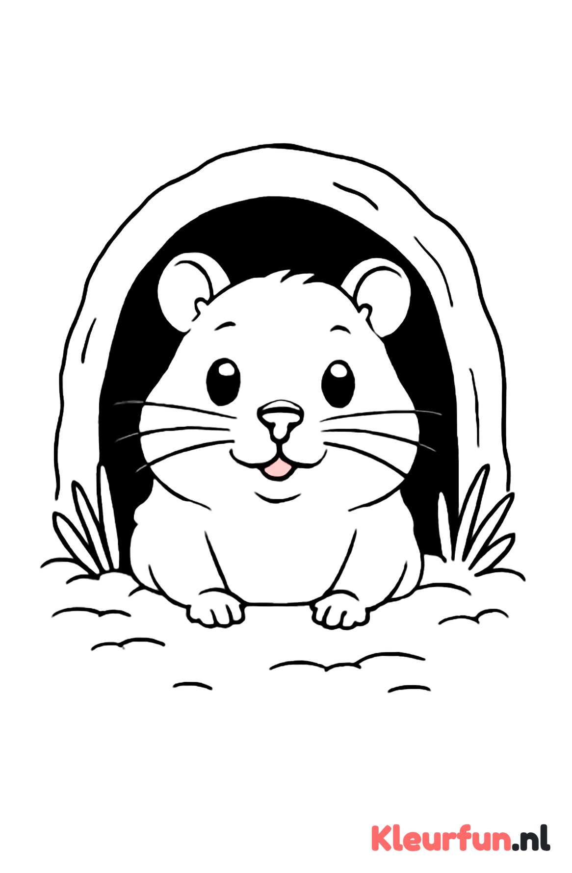 Hamster kijkt uit Holletje