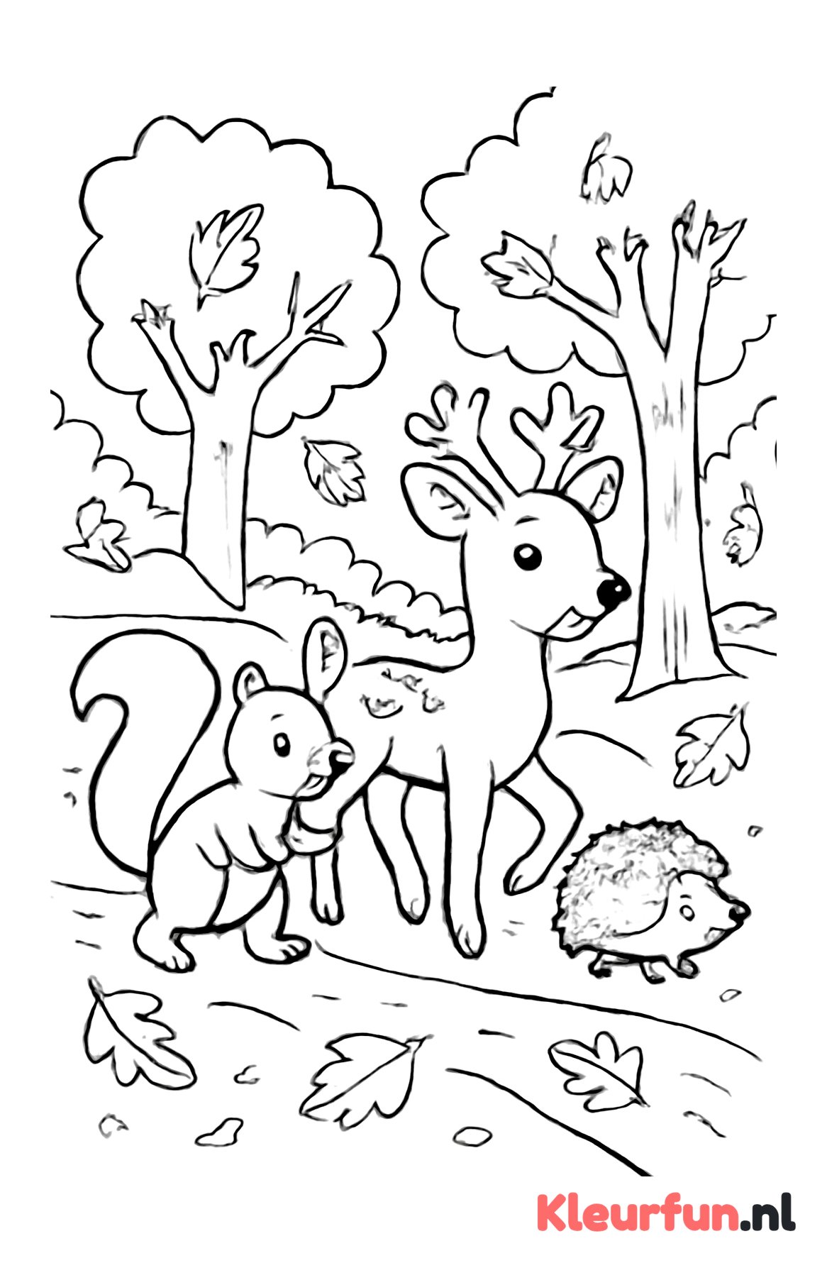 Herfstwandeling met bosdieren