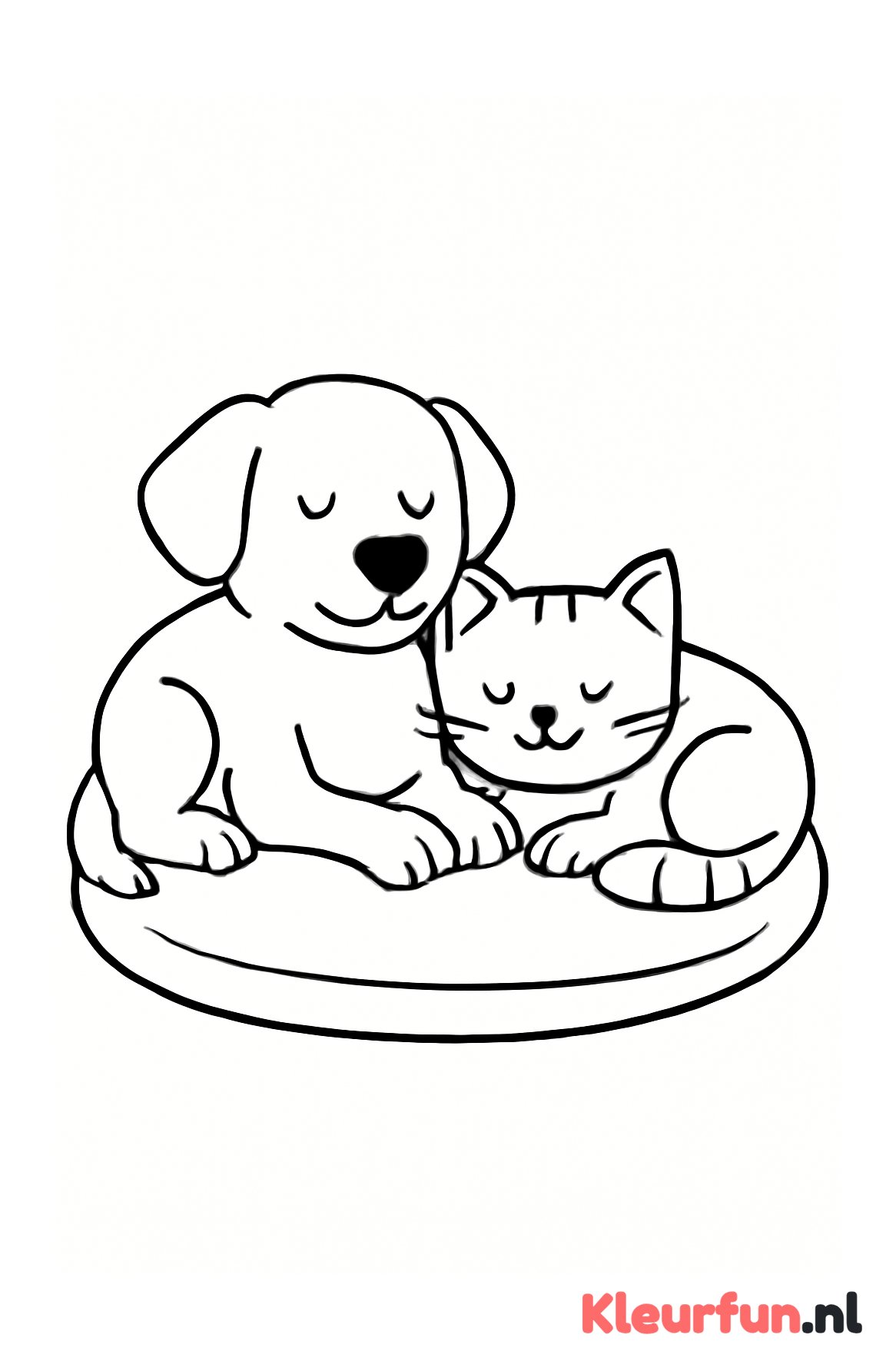 Hond en kat rusten samen