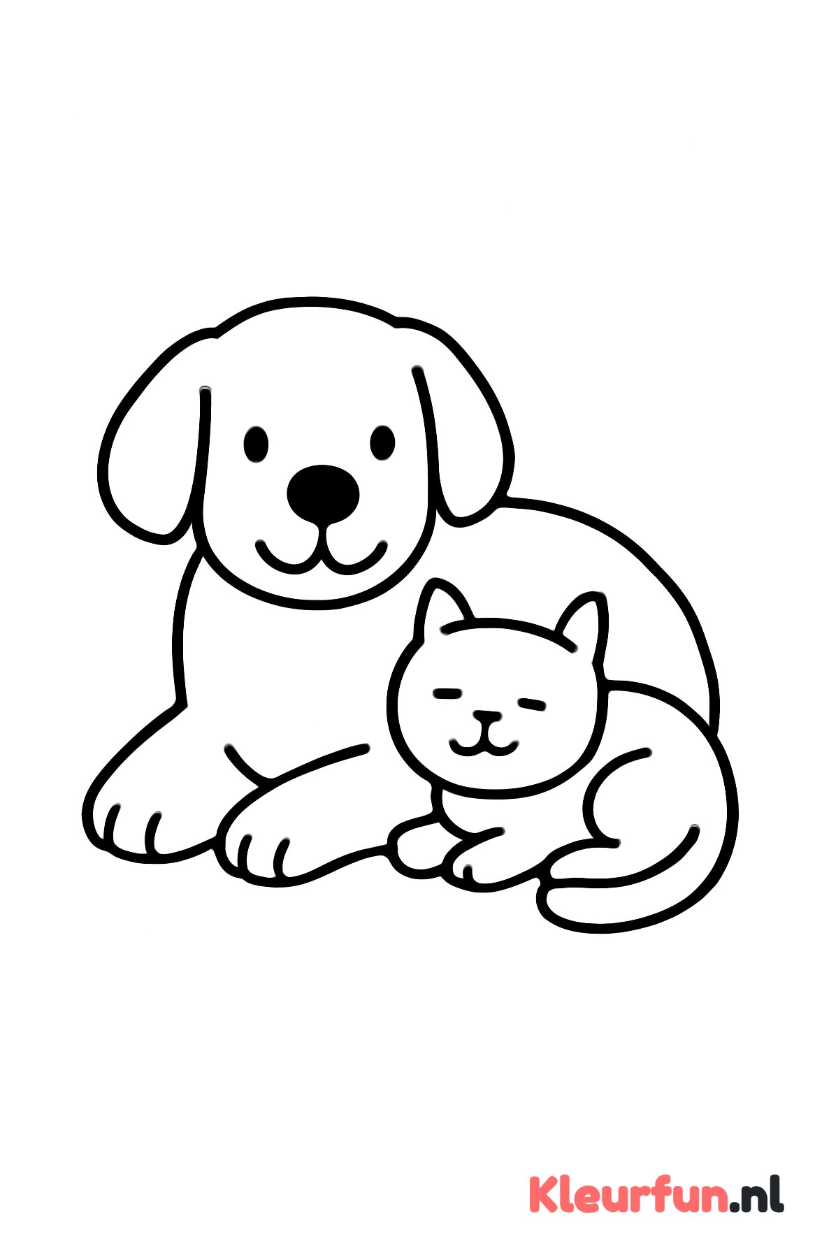 Hond en kat samen liggend