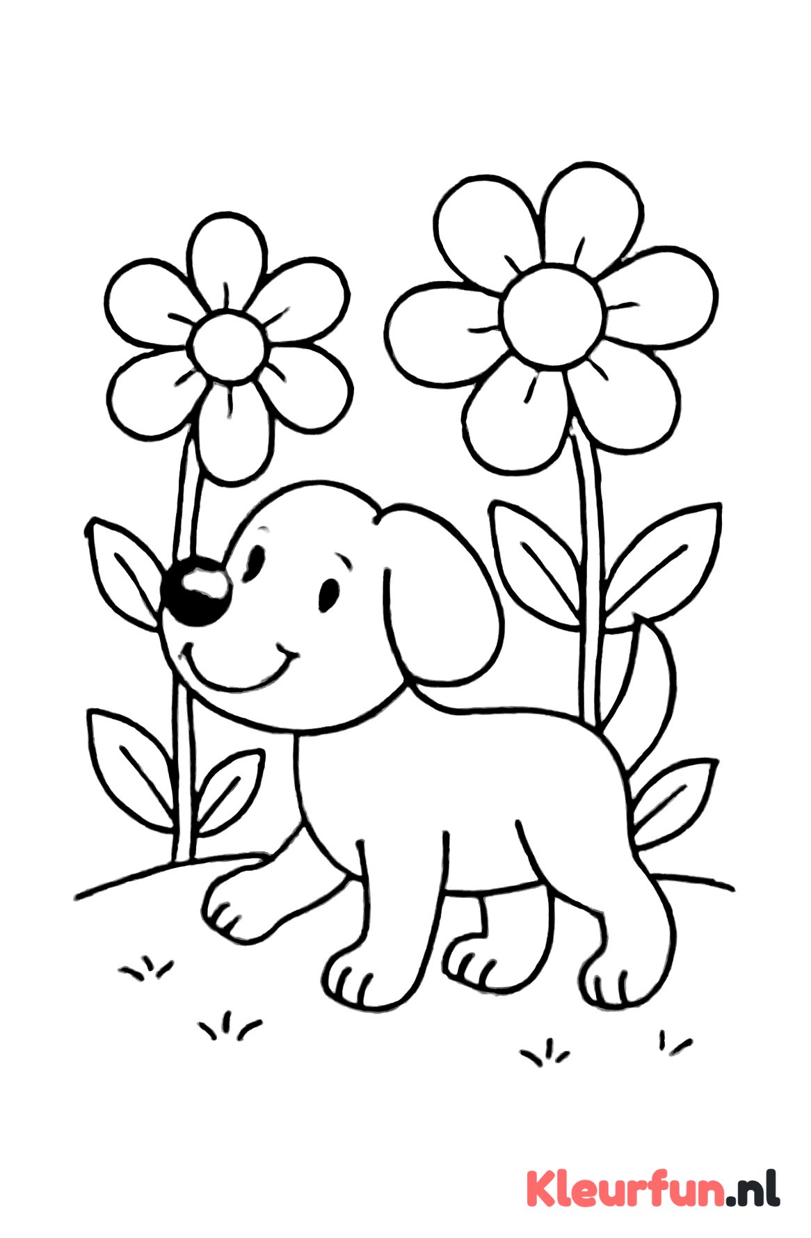Hond met grote bloemen