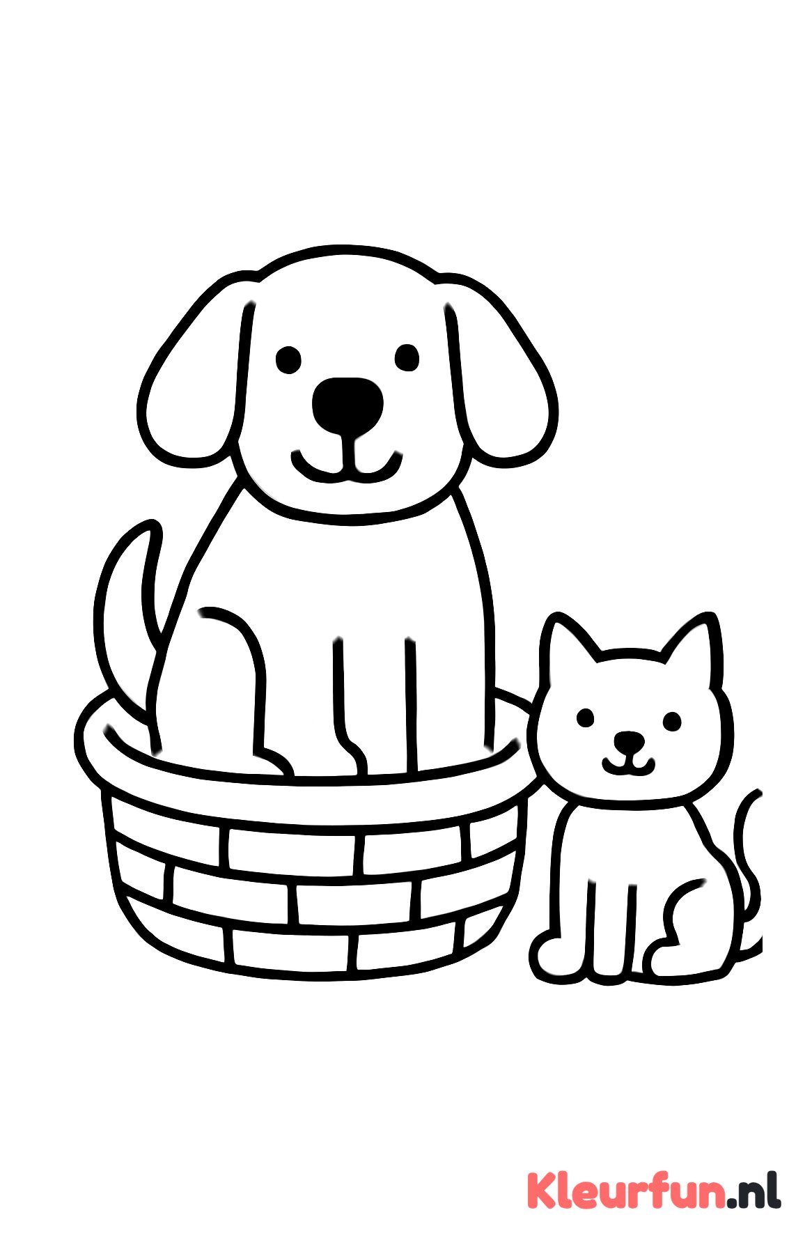 Hond in mand met kat